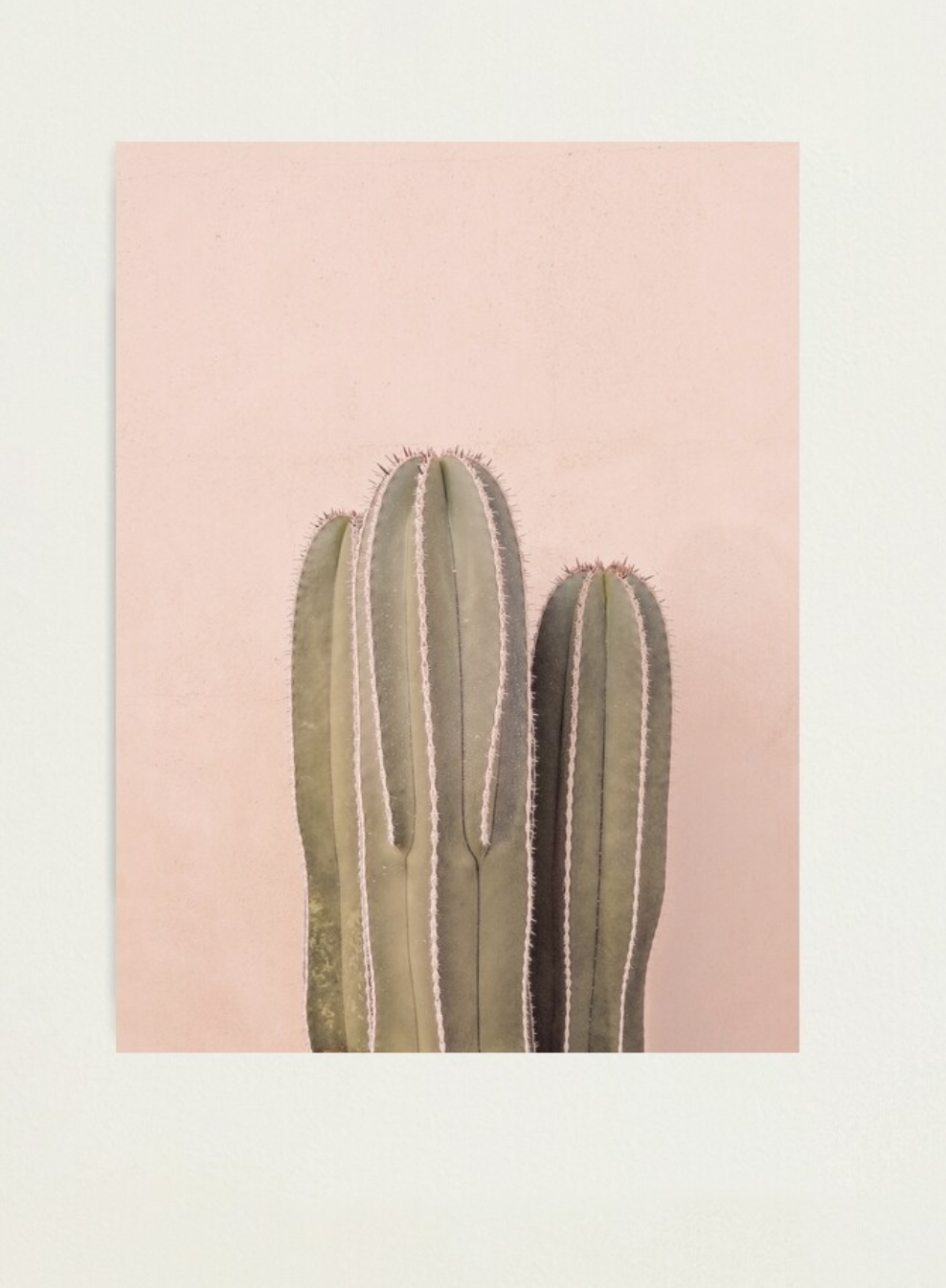 Tucson Artist | Nieves Montaño | Rosalia Print
