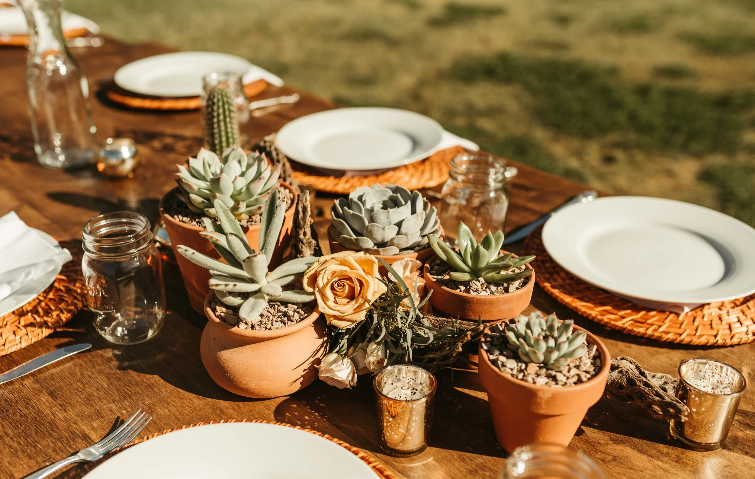 RENTAL | Potted Cactus + Succulent  Bloom Maven