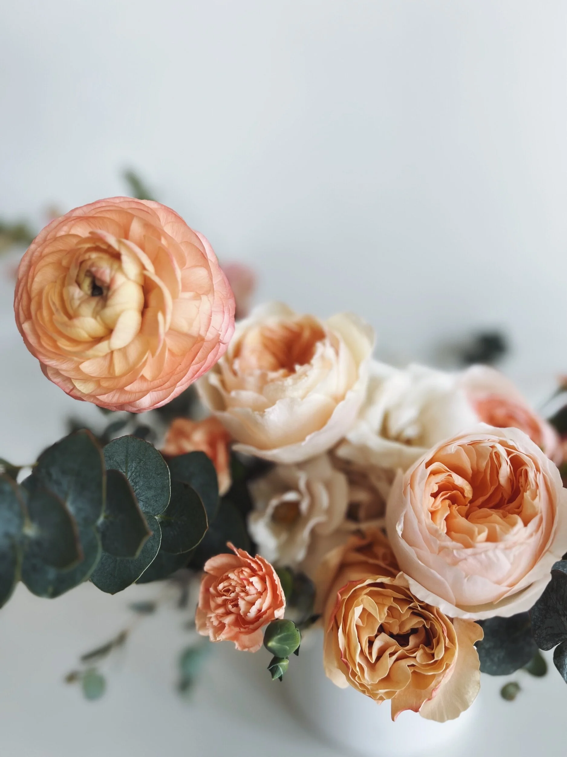 BDB3D8F9-61E6-4F24-BF2F-0DC594C3F39E