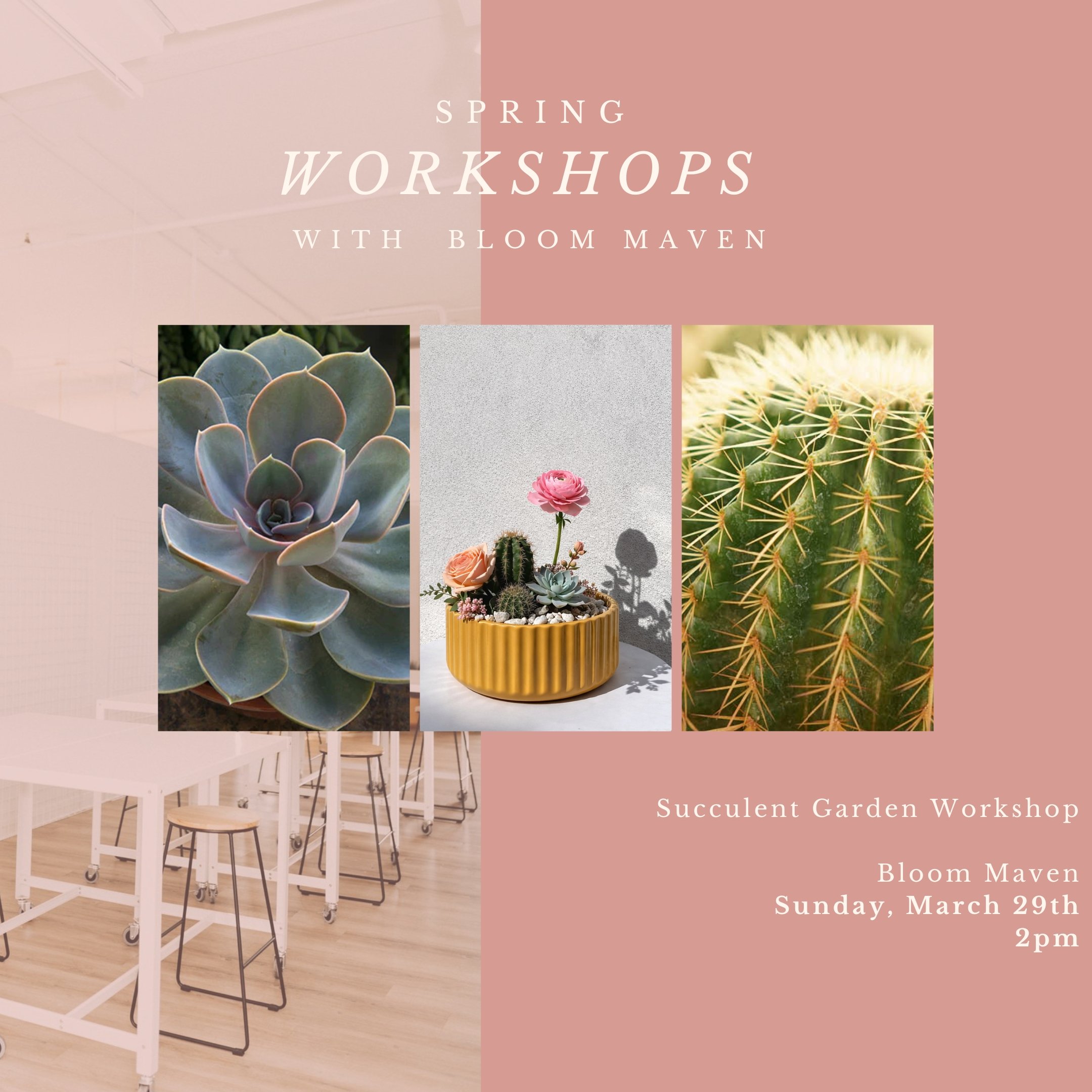 Succulent Garden Workshop | March 29