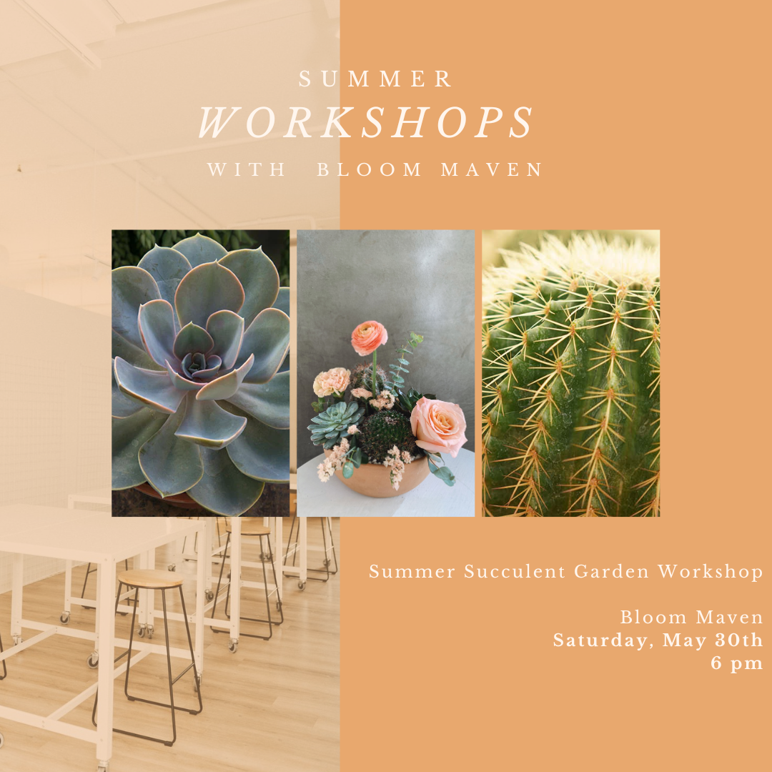Workshop Series.png