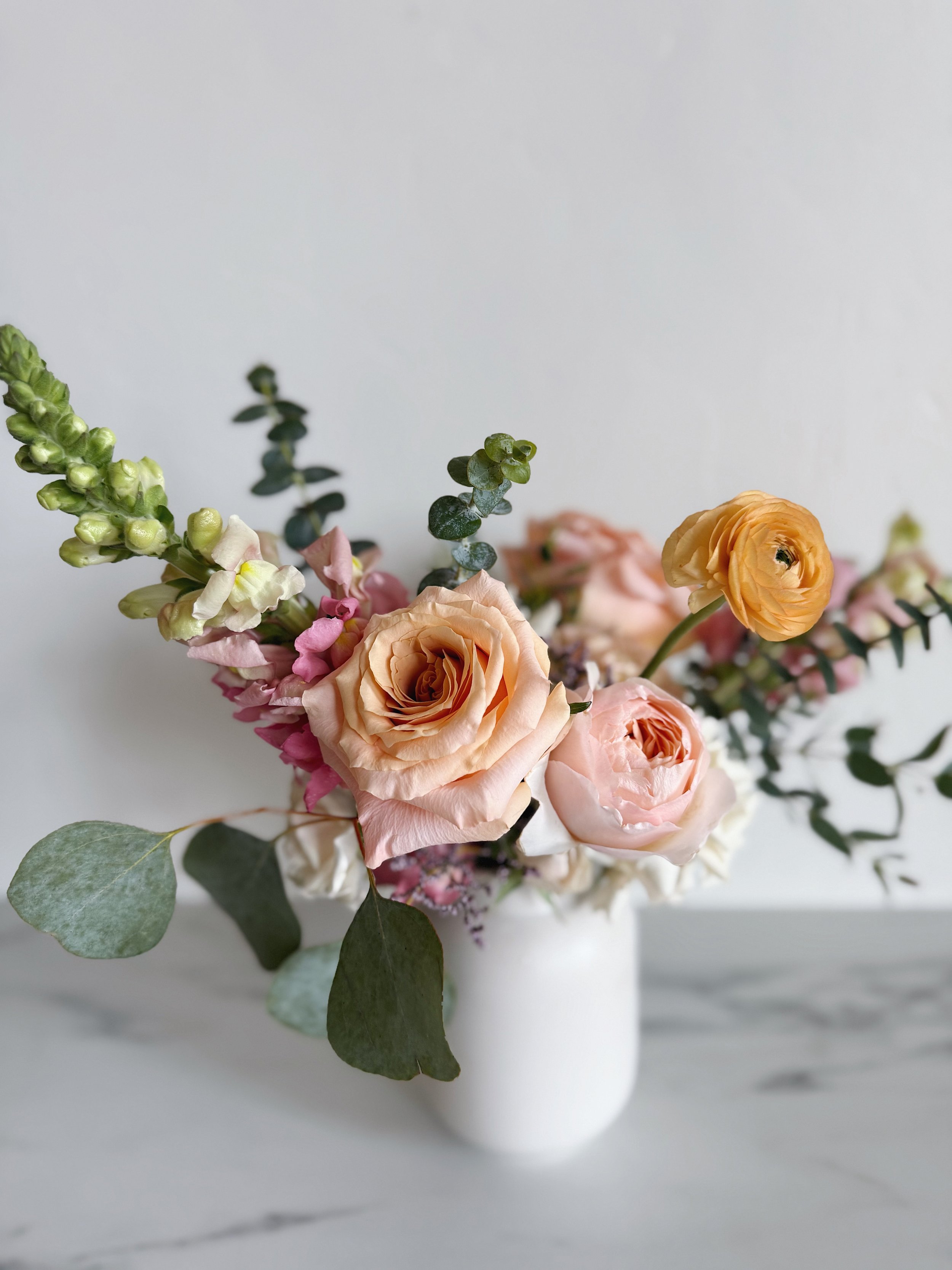 FullSizeRender_VSCO 6.JPG