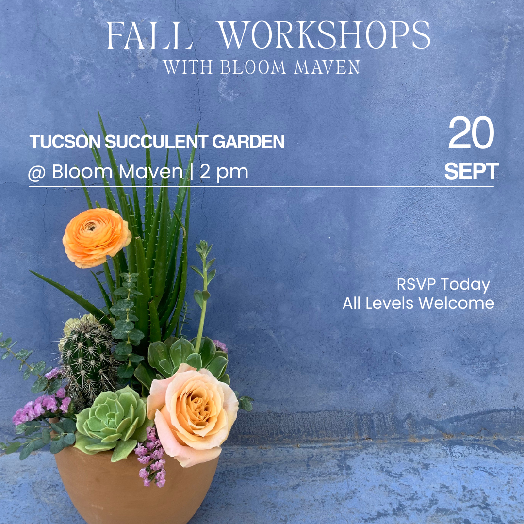 Workshop Series (3).png