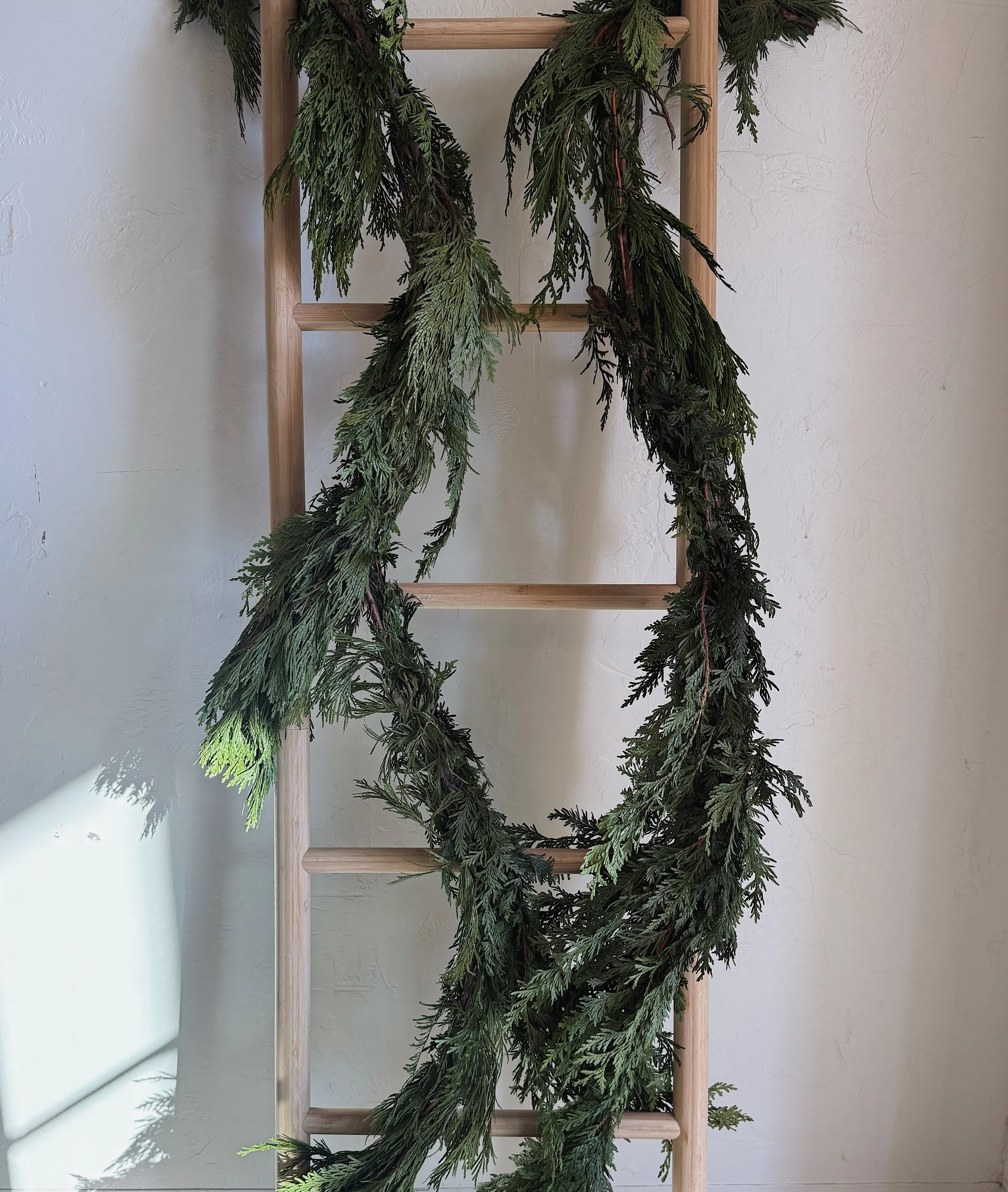Fresh Cedar Garland