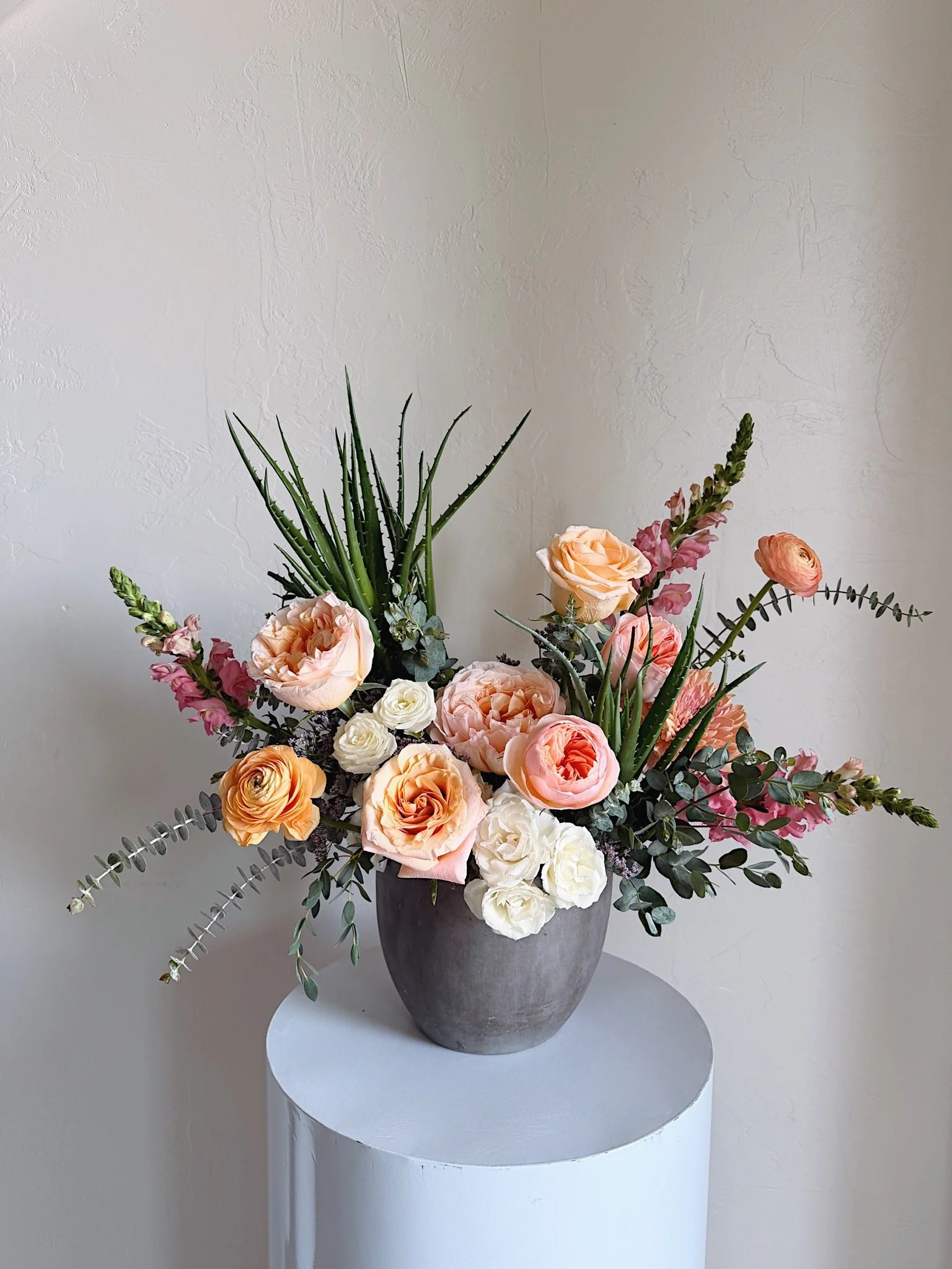 Sonoran Blush
