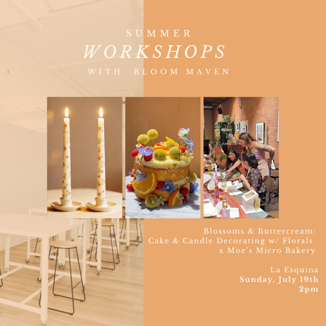 Workshop Series-6.png