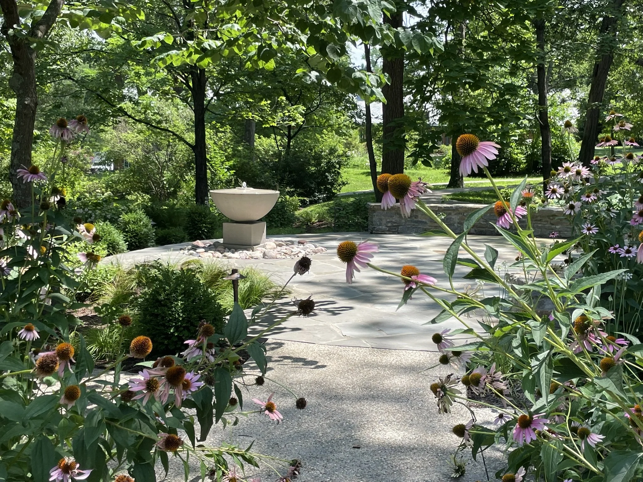 echinacea_fountain_area.JPEG
