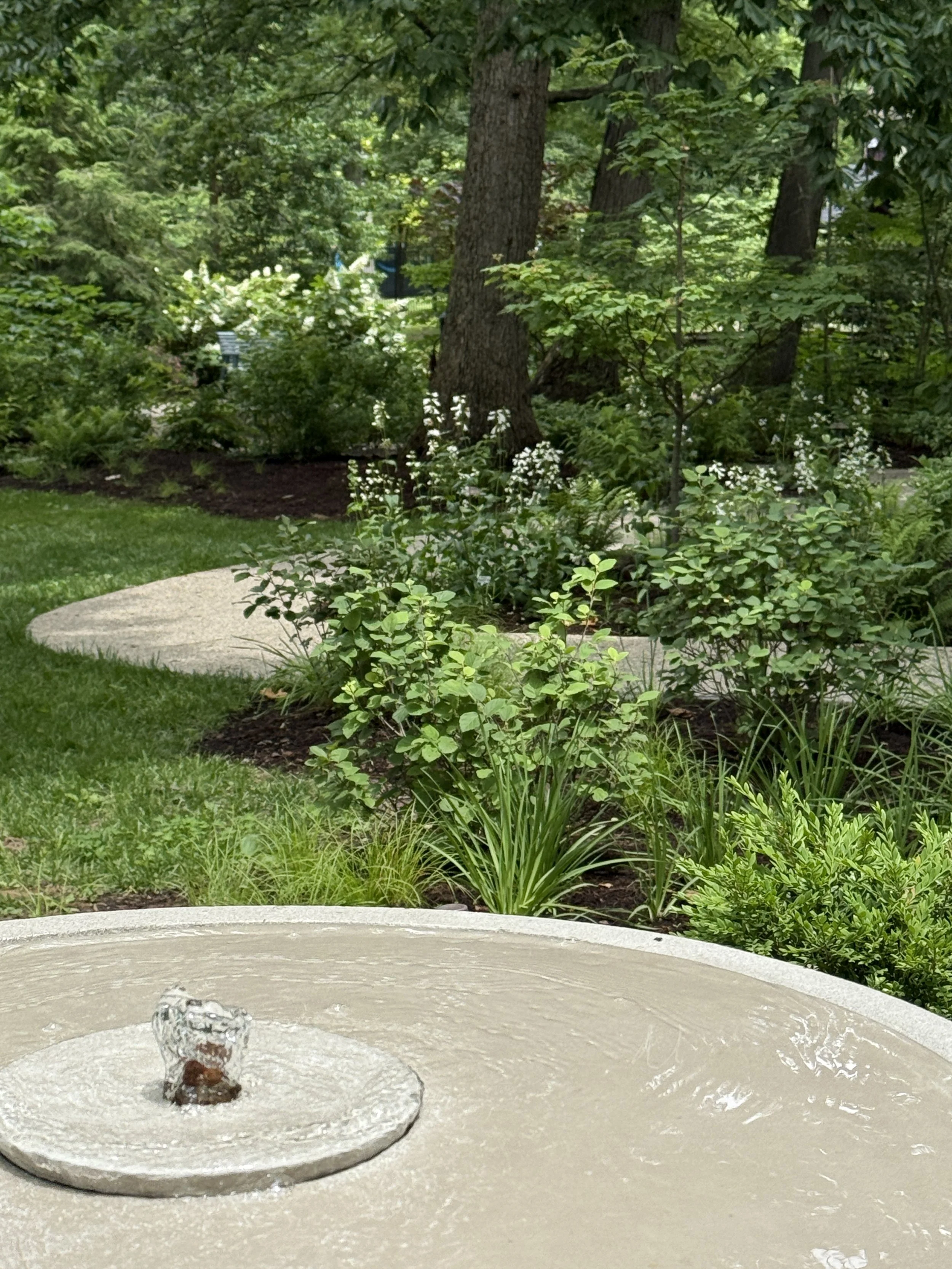 fountain_path.JPG