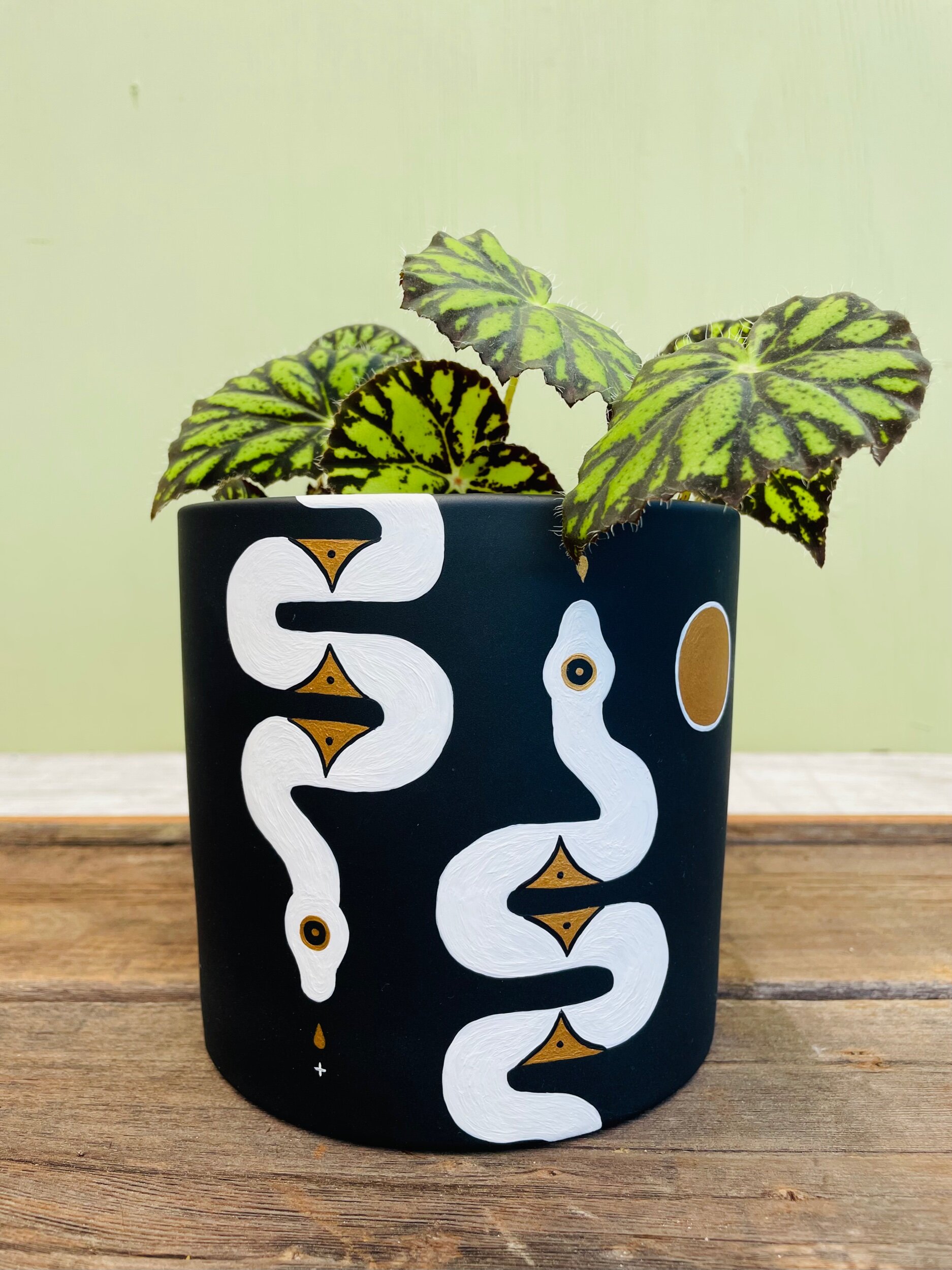 5195D8C8-8134-435C-9647-A0A911E3CD70