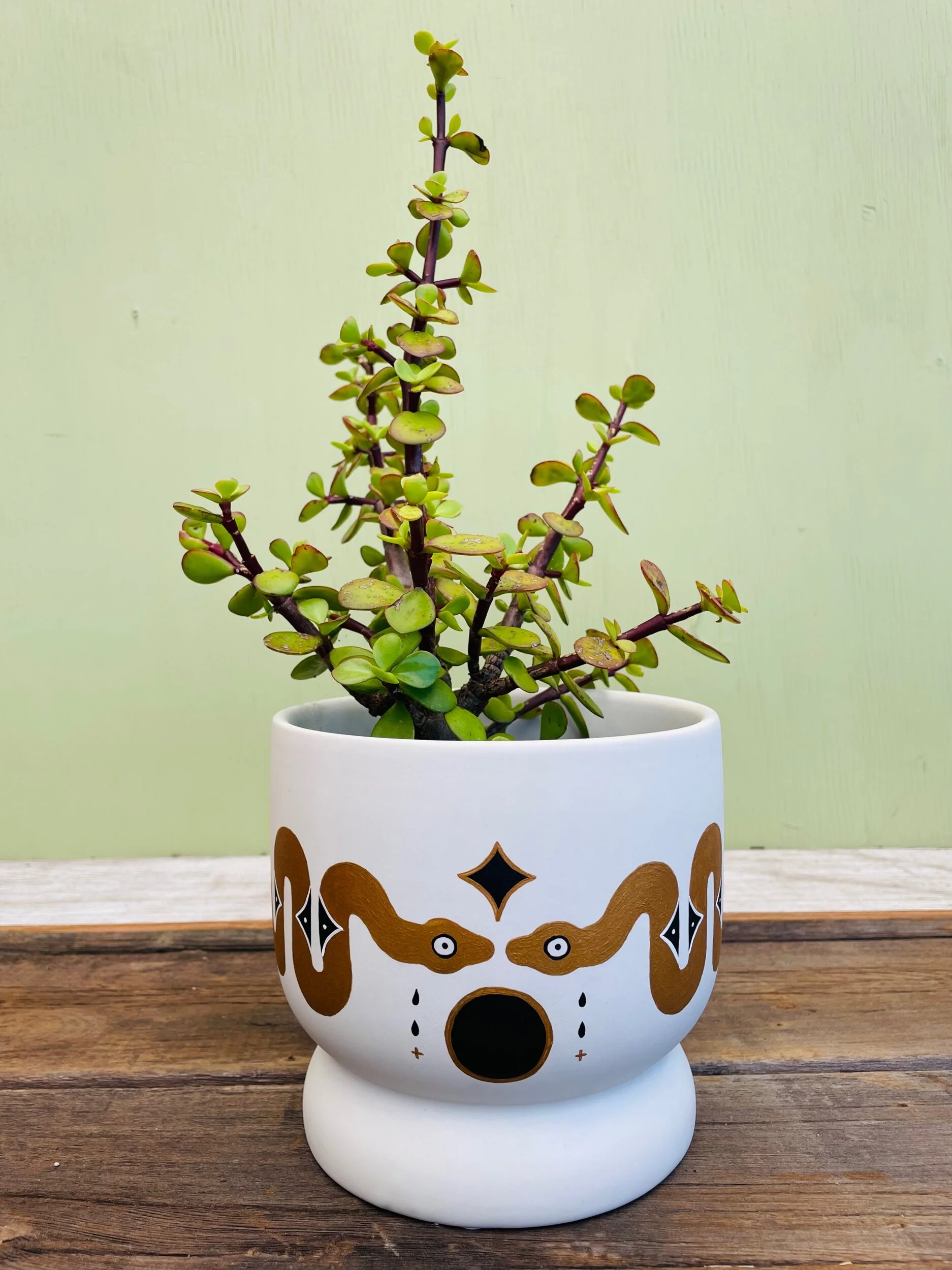 F641768A-F8B3-46DC-AD1B-390B1BFA7584