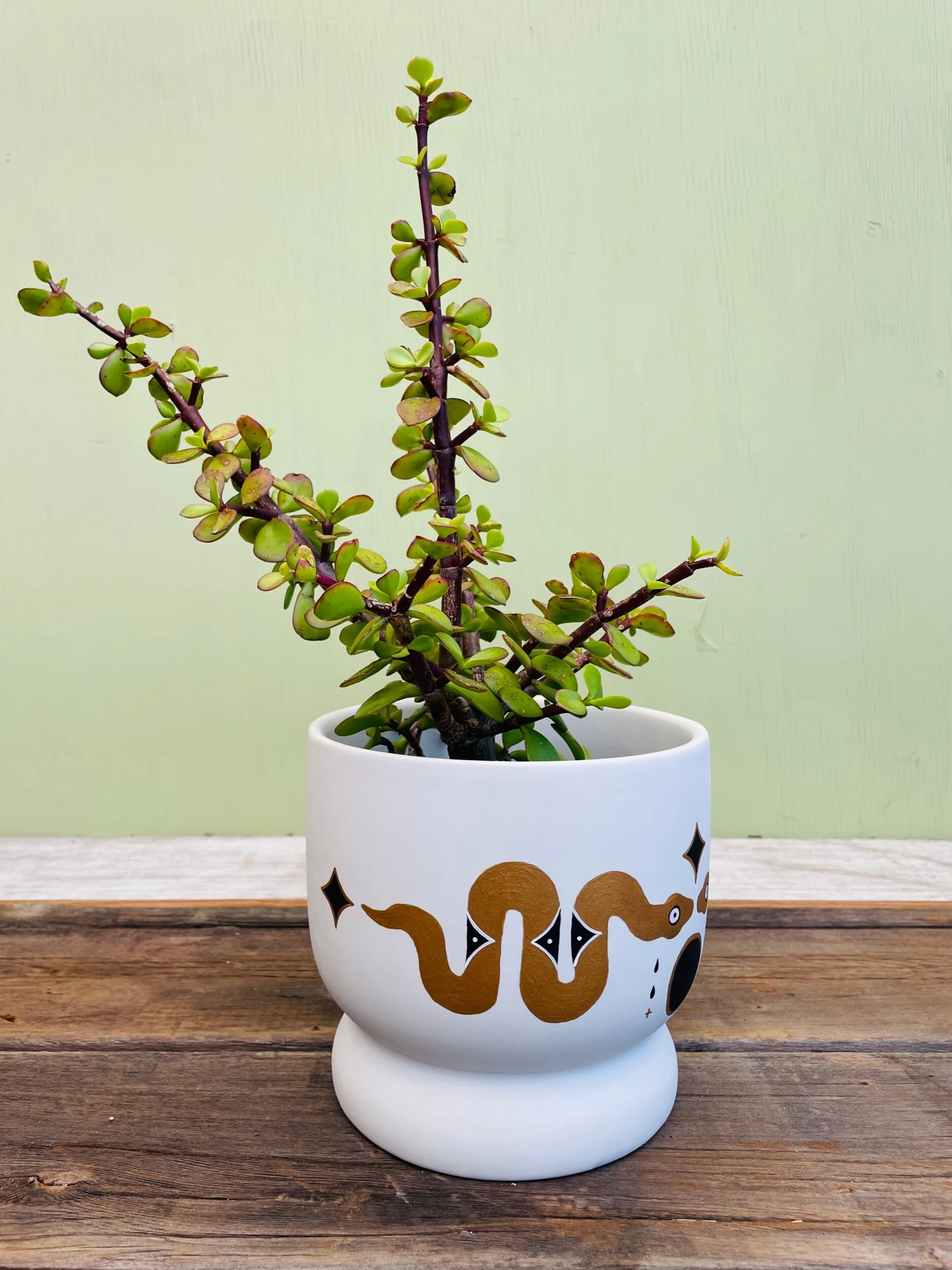 D868FBBF-7751-48C6-9A22-EF186B769CAD