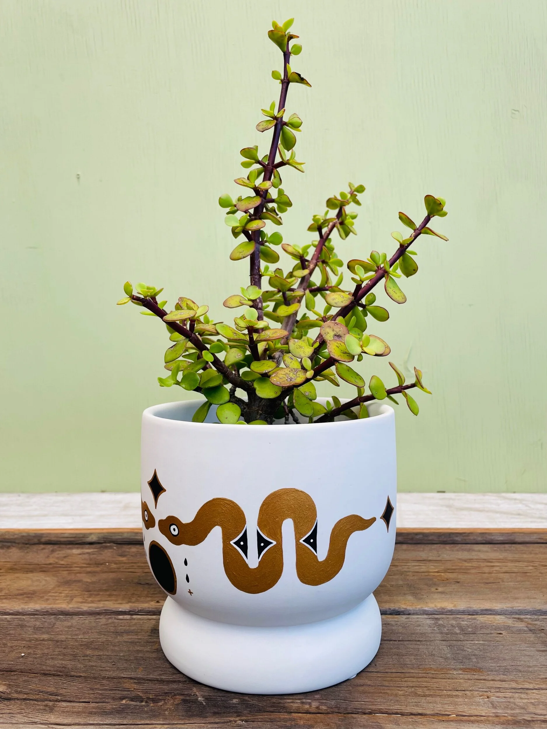 10E90C1A-5D35-4121-905E-44717D5F4A04