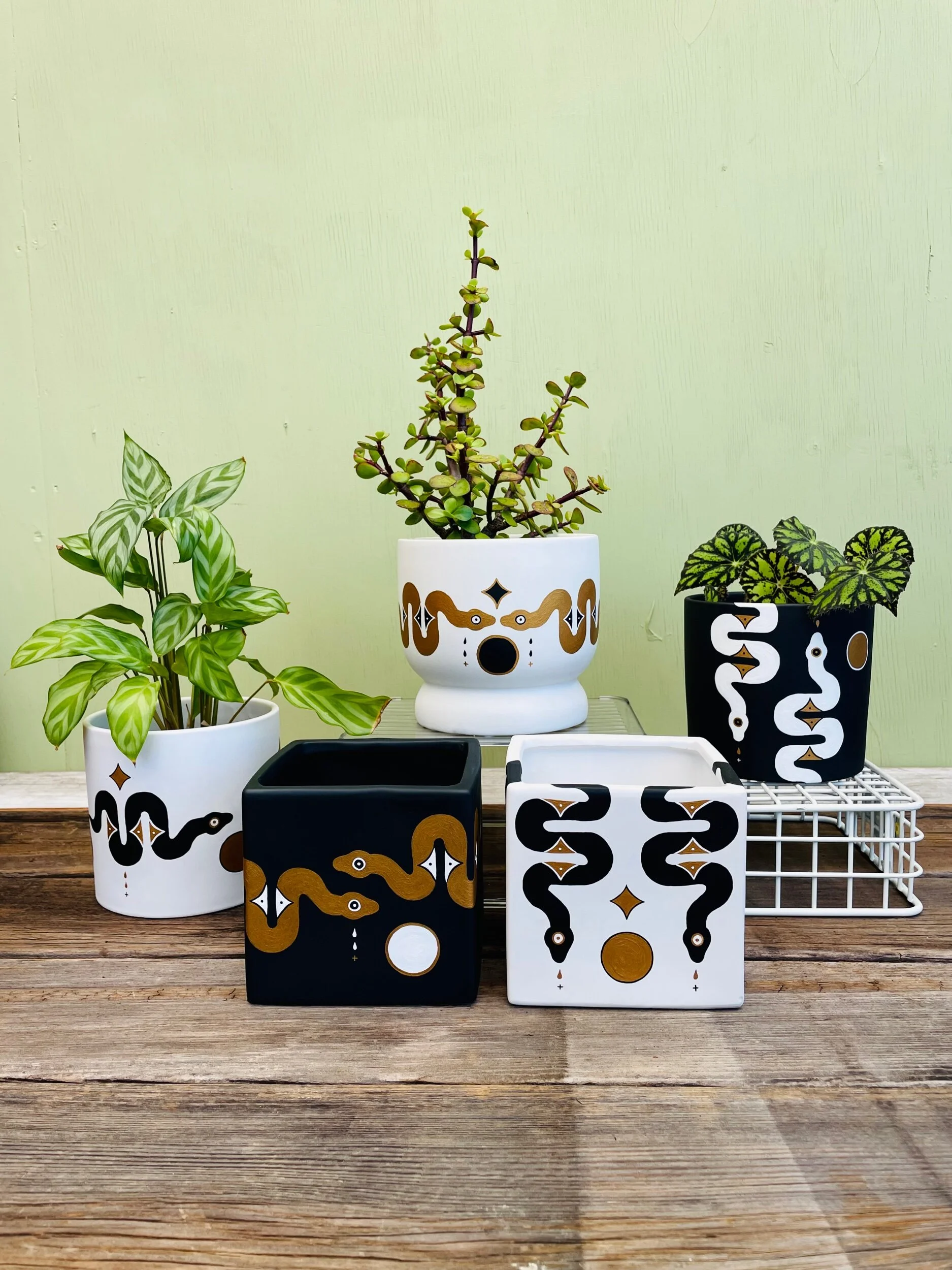 E11D3CFD-EABC-40C9-B34D-03F0758541F5