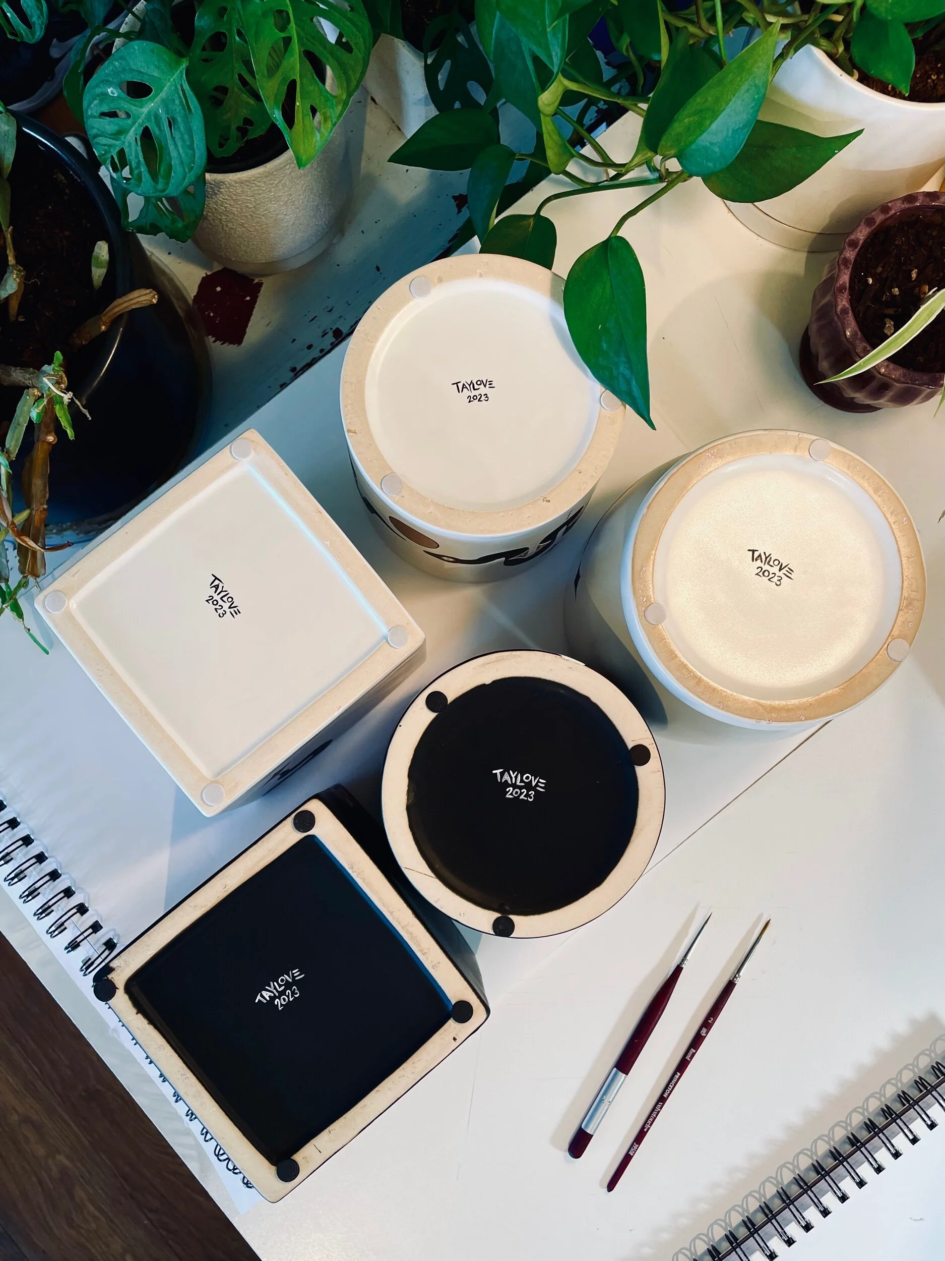 C49C1F7F-434B-4709-88BF-C2DE41D28C4C