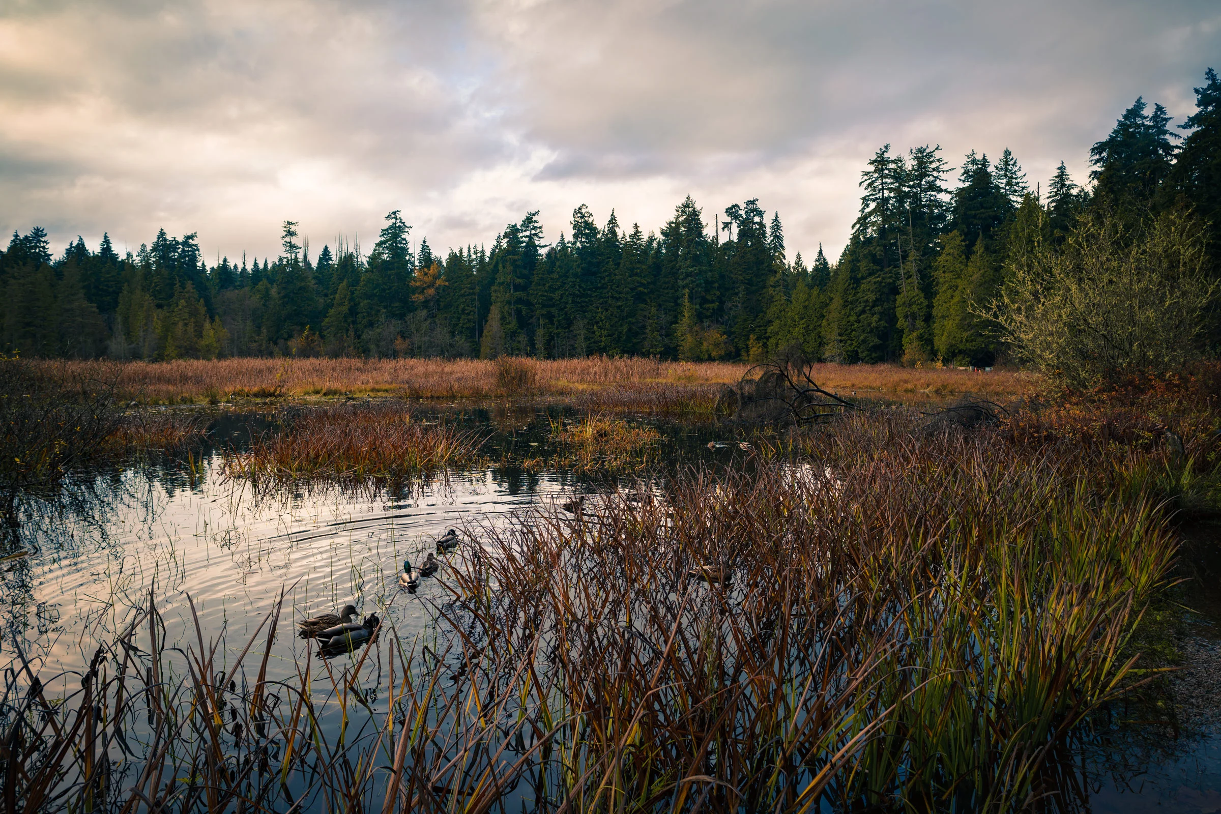 _DSC2469.jpg