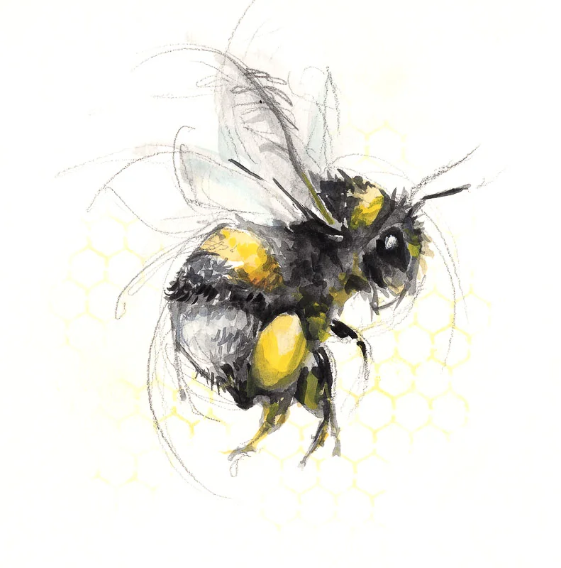 Flying Bumble