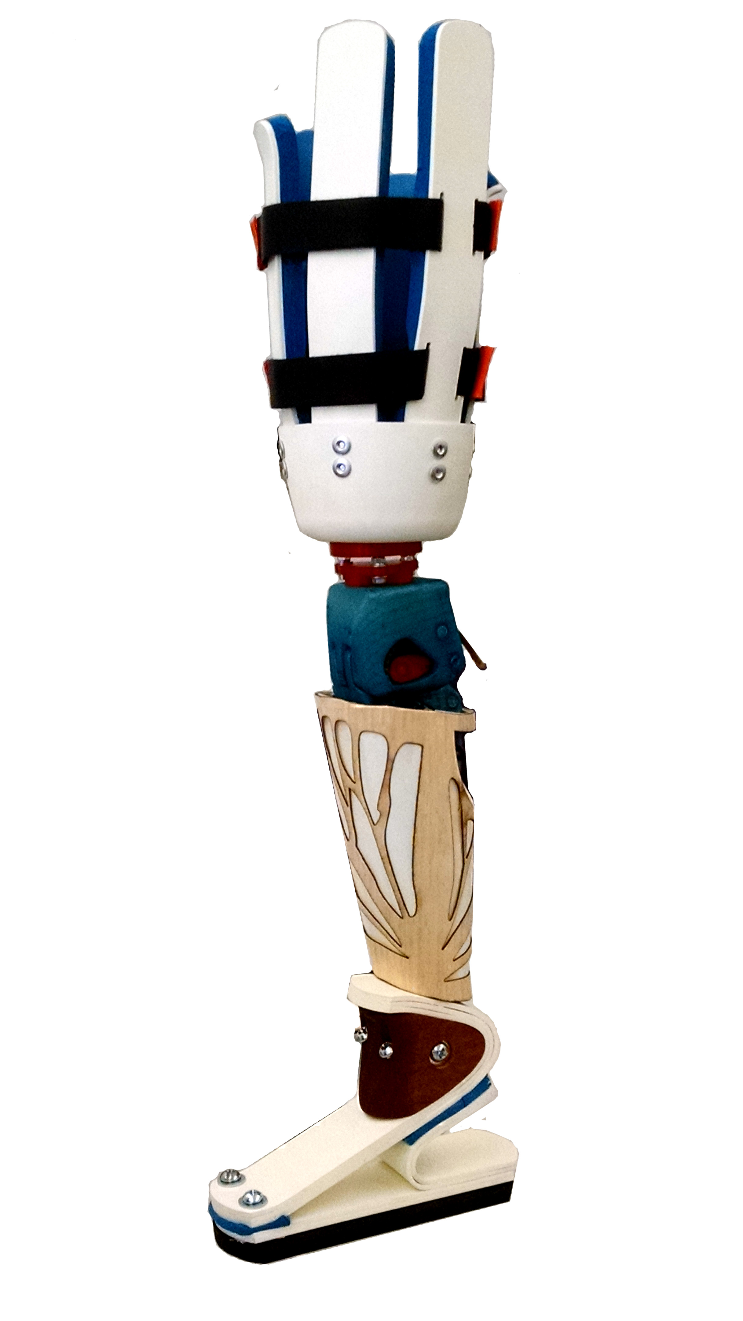 final model WO.jpg