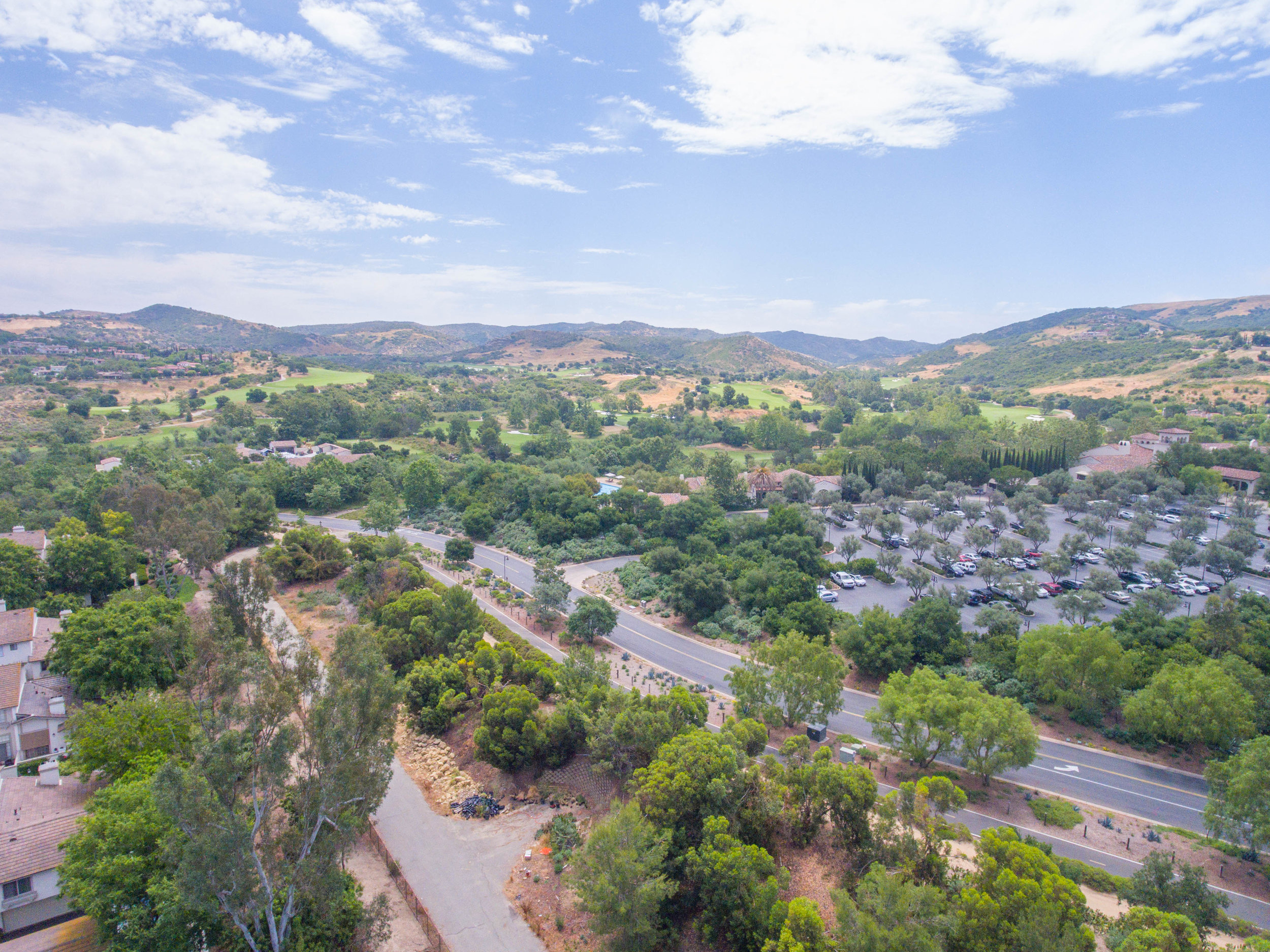 DJI_0006.jpg