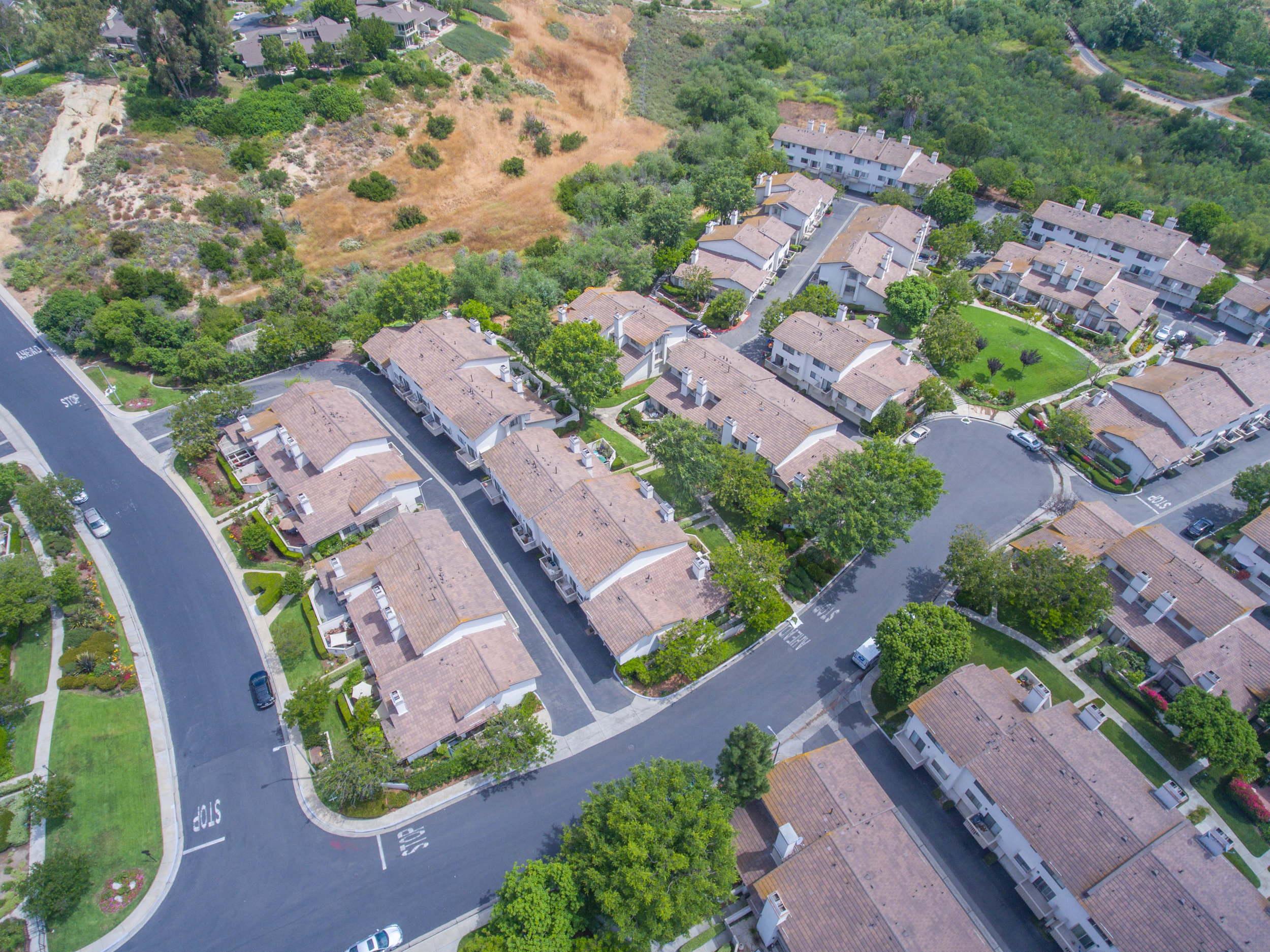 DJI_0010.jpg