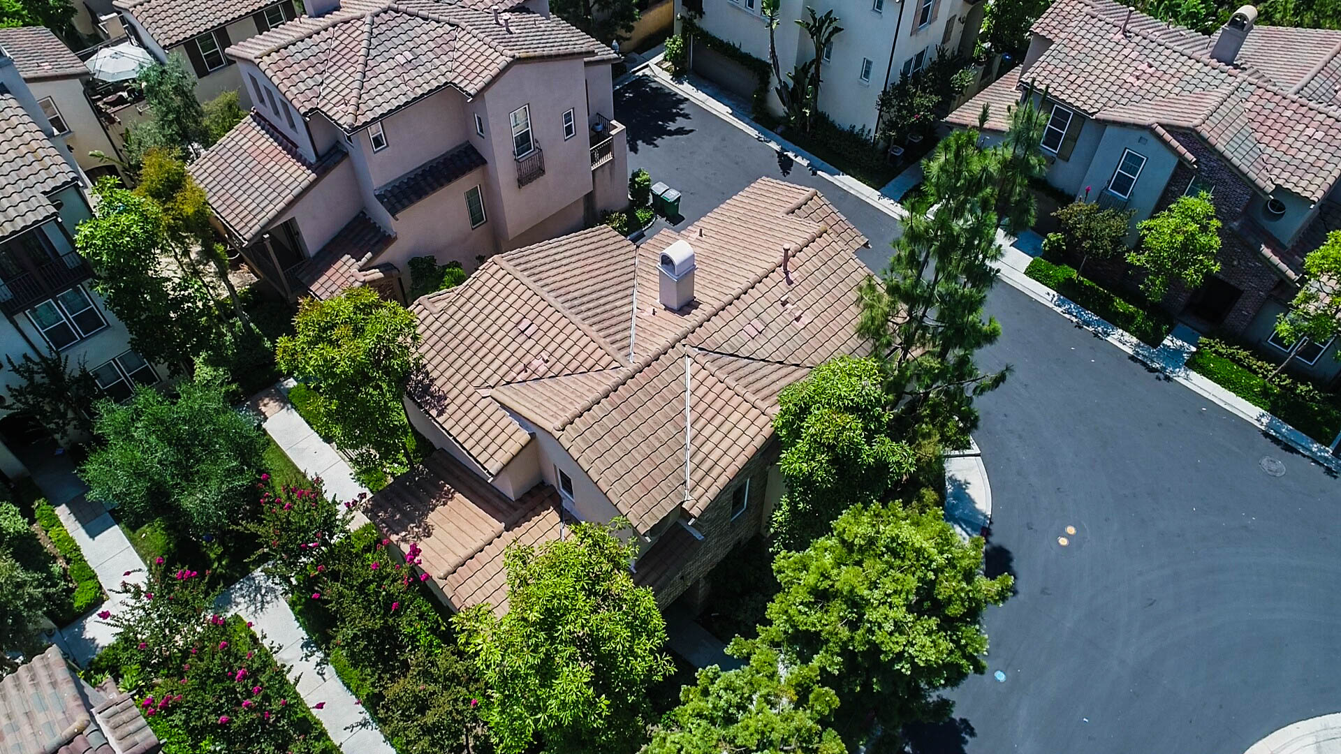 DJI_0009.jpg