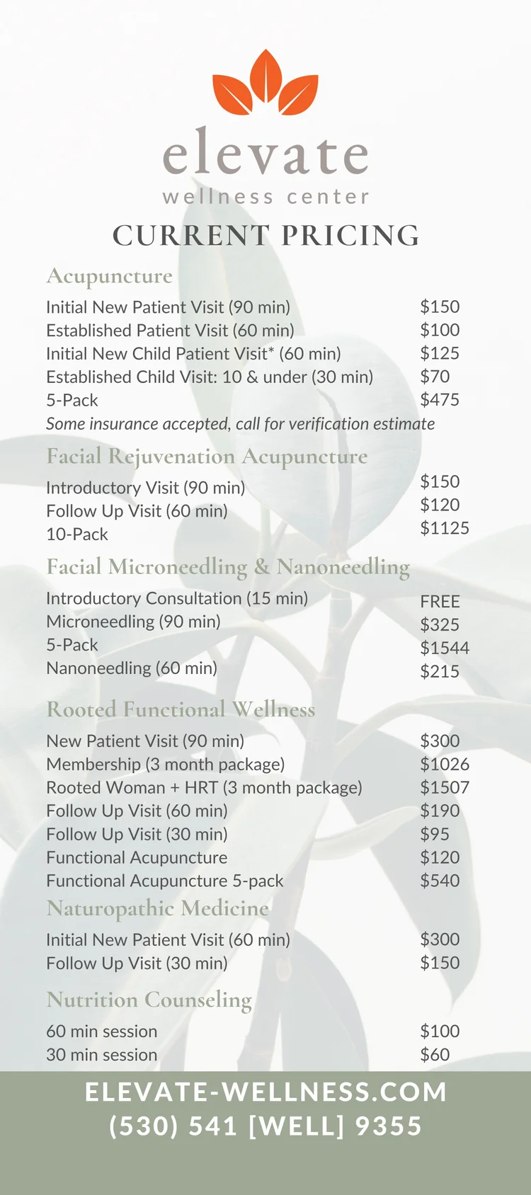 Elevate Wellness — Pricing