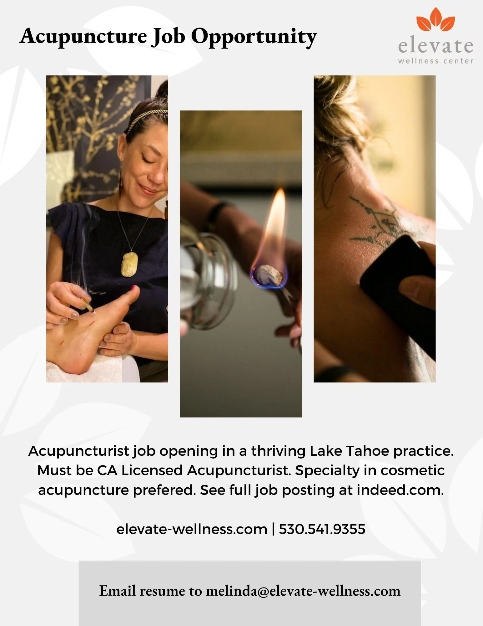 We are hiring an Acupuncturist! — Elevate Wellness