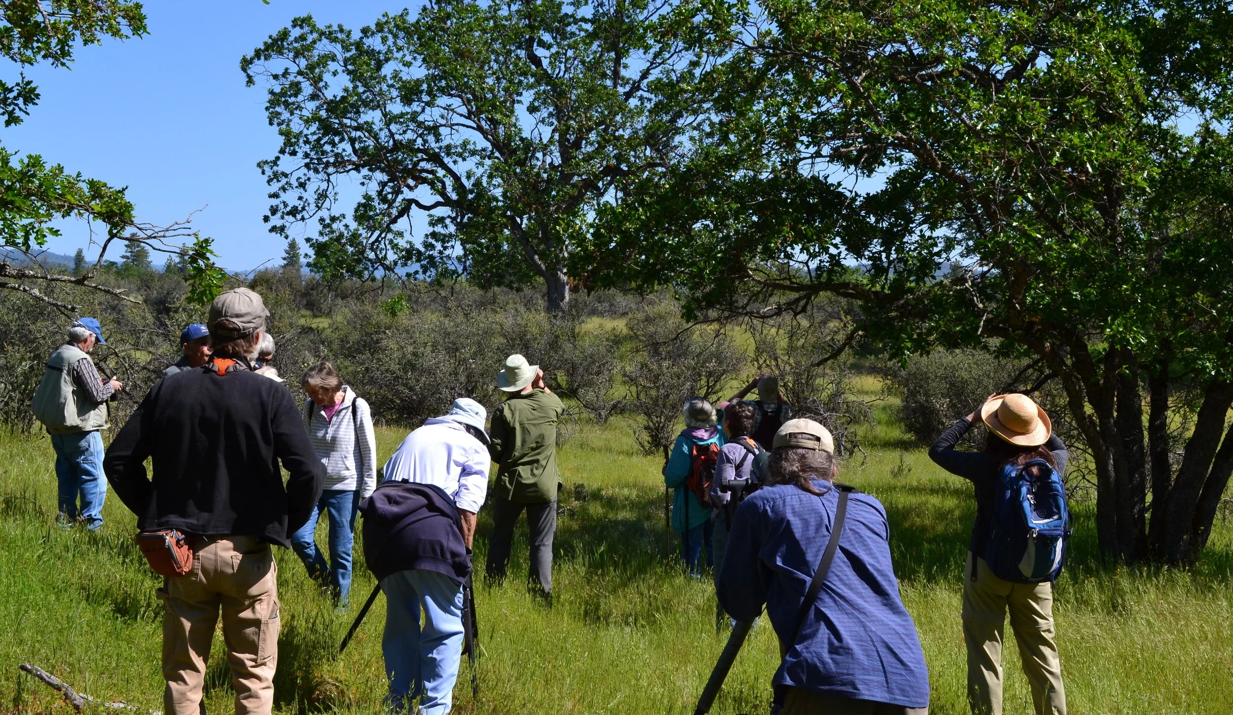 Volunteers for the Rogue River Preserve – 2015 in Gratitude