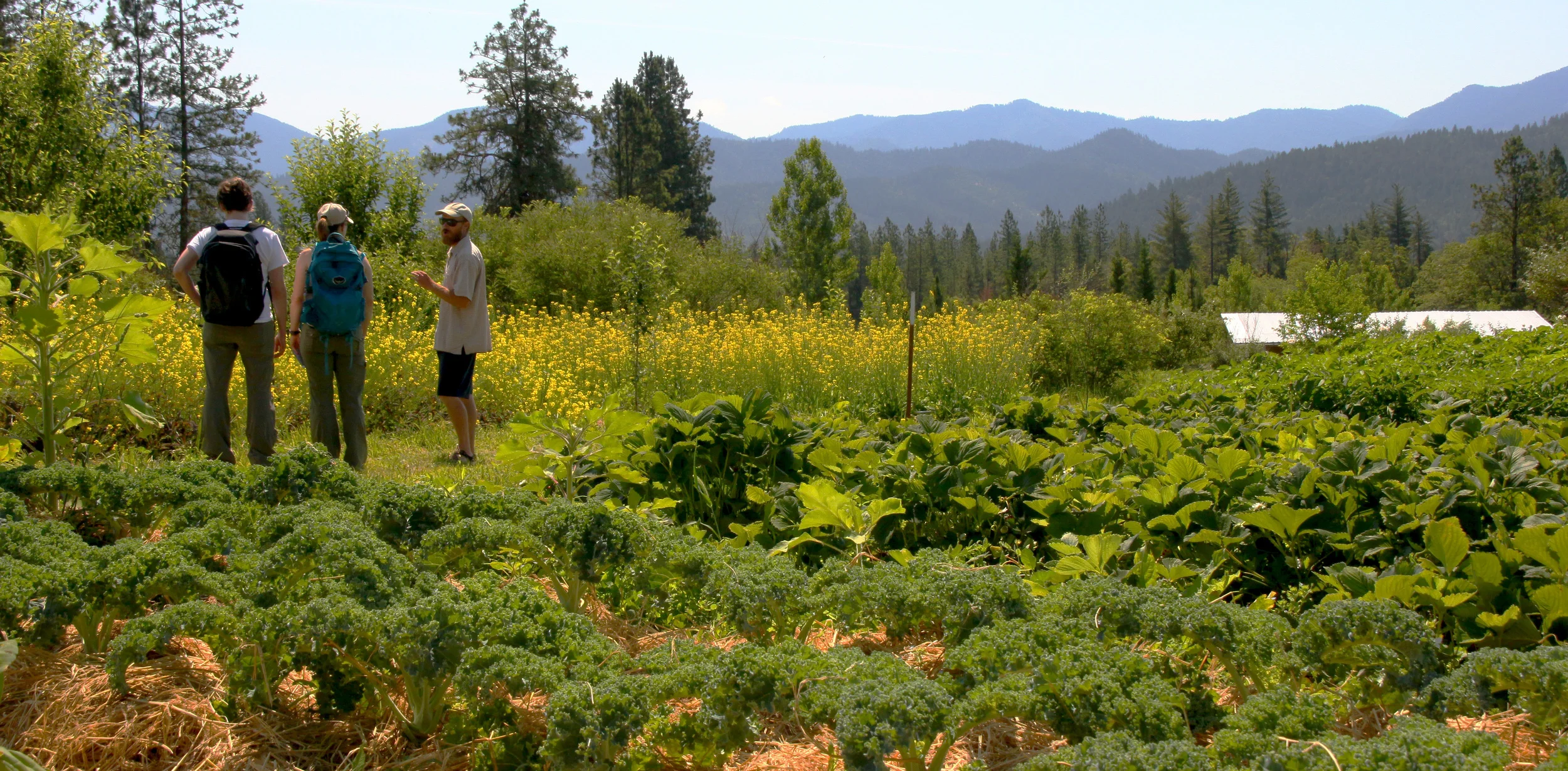White Oak Farm and Education Center is a conserved property located in the Williams Creek Valley.