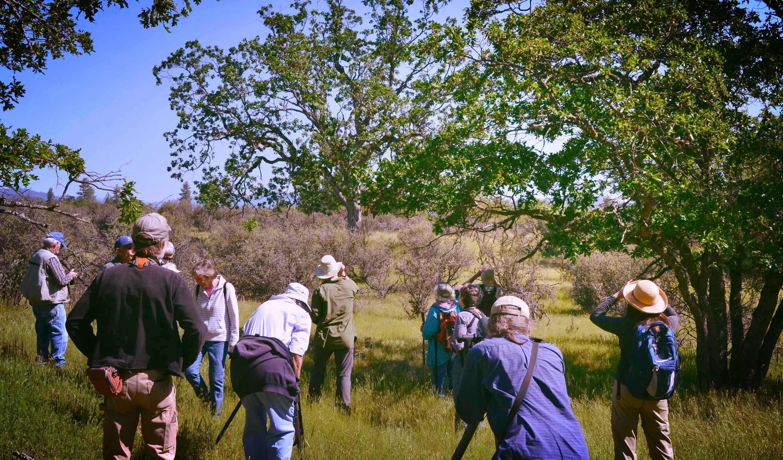 Rogue River Preserve Birding