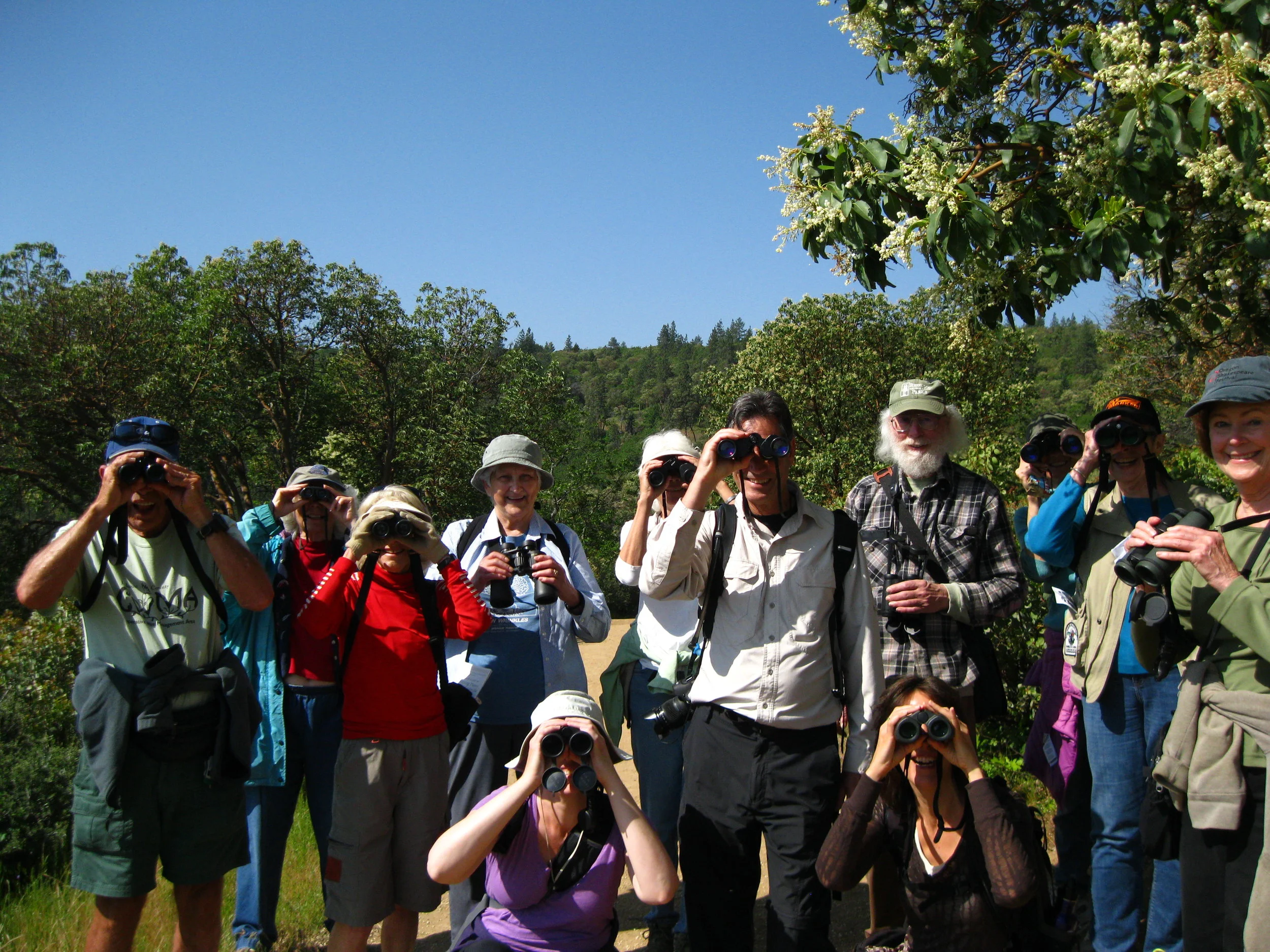 Jacksonville Woodlands Birding