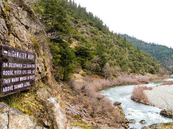 High water mark along the middle Rogue River during the 1964 flood.