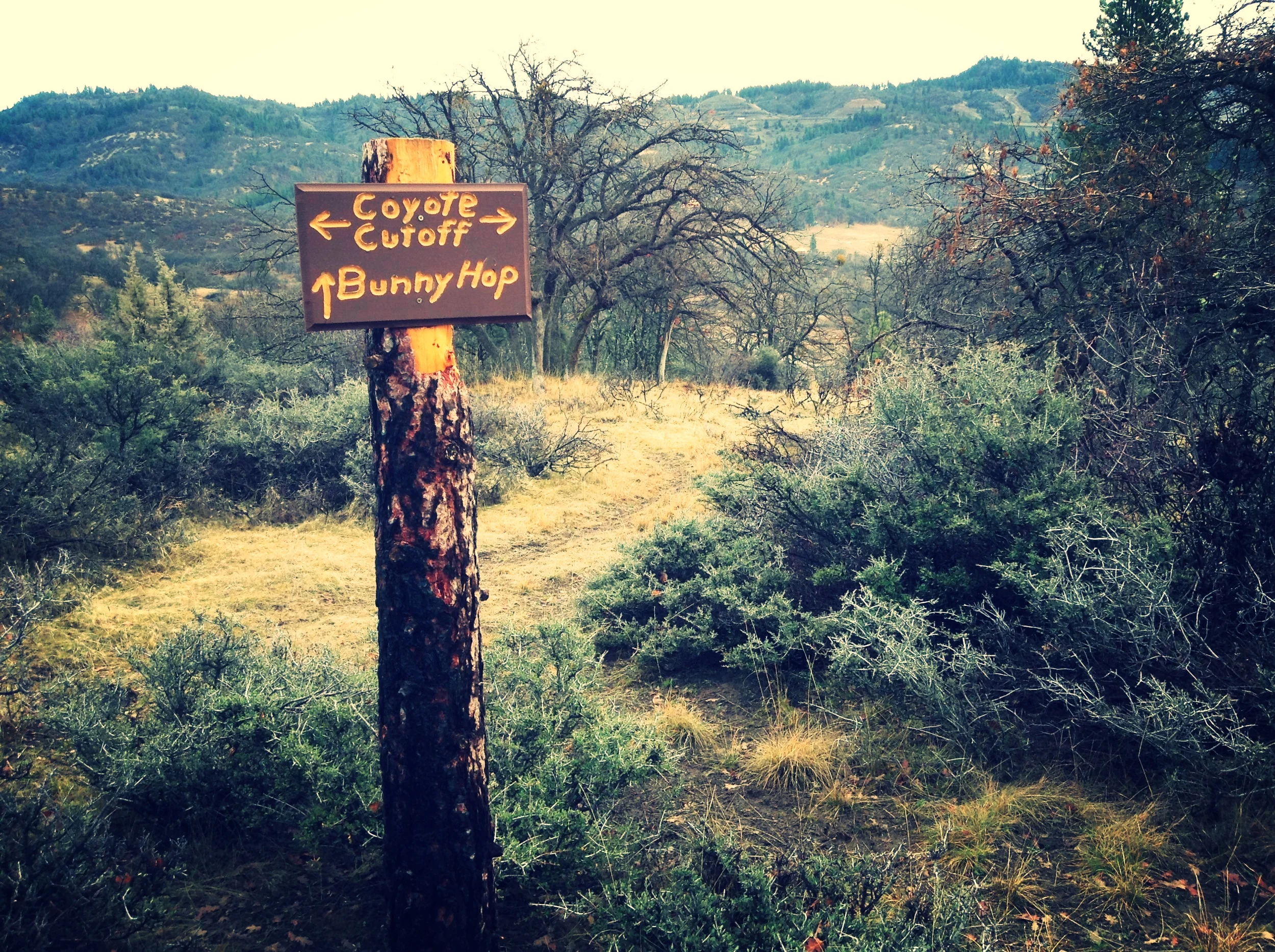 Trail crossing on The Landing Colestin property.