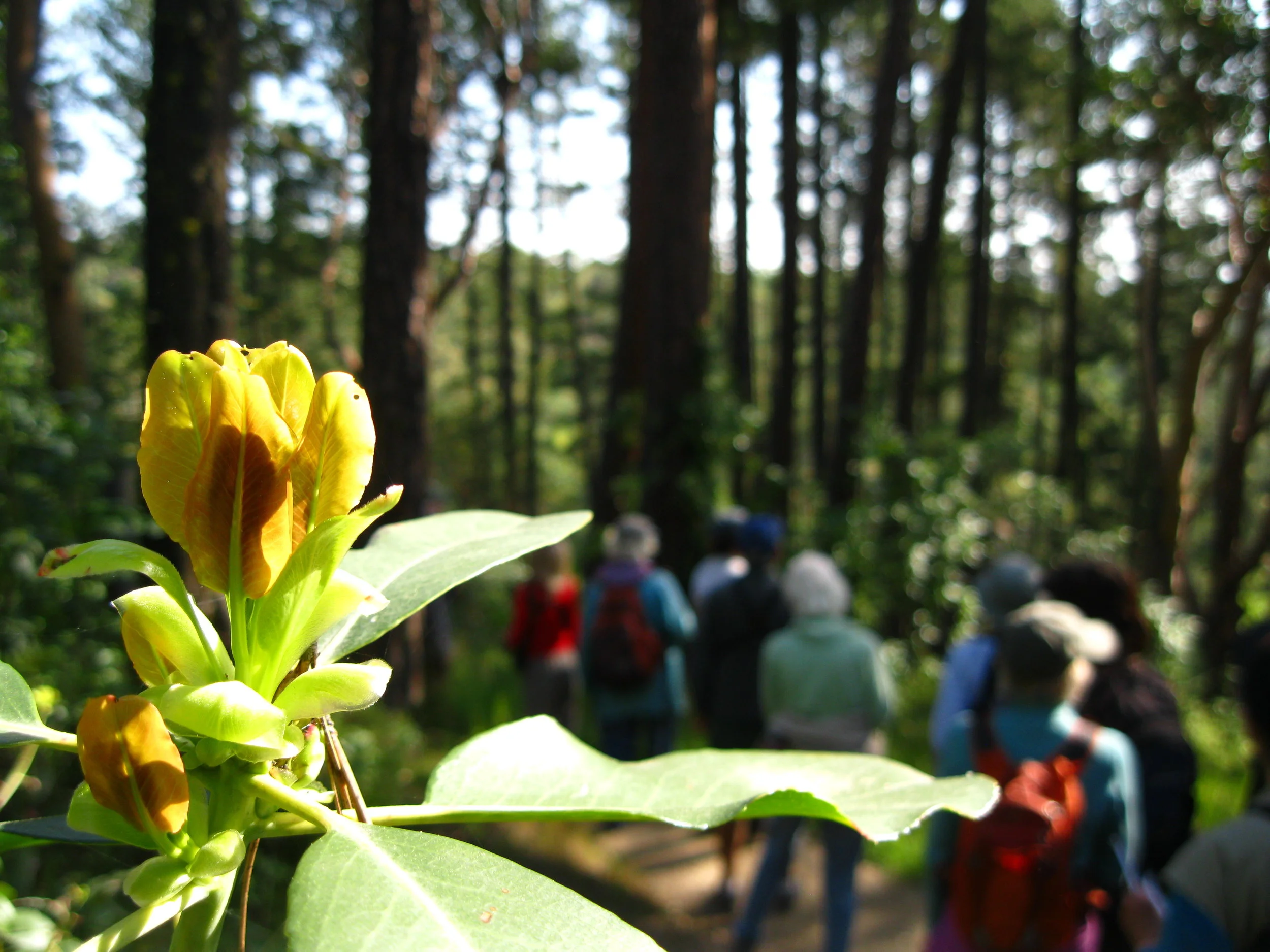 Southern Oregon Land Conservancy