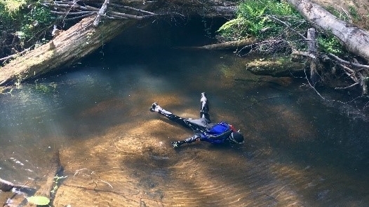 An ODFW stream surveyor peers into the dark waters of an Oregon stream in search of
Normal
0
false
false
false
EN-US
X-NONE
X-NONE
MicrosoftInternetExplorer4
juvenile (parr)
/* Style Definitions */
table.MsoNormalTable
{mso-style-name:"Table Normal";
mso-tstyle-rowband-size:0;
mso-tstyle-colband-size:0;
mso-style-noshow:yes;
mso-style-priority:99;
mso-style-parent:"";
mso-padding-alt:0in 5.4pt 0in 5.4pt;
mso-para-margin:0in;
mso-para-margin-bottom:.0001pt;
mso-pagination:widow-orphan;
font-size:10.0pt;
font-family:"Times New Roman",serif;}
coho salmon. Photo by Crystal Nichols.