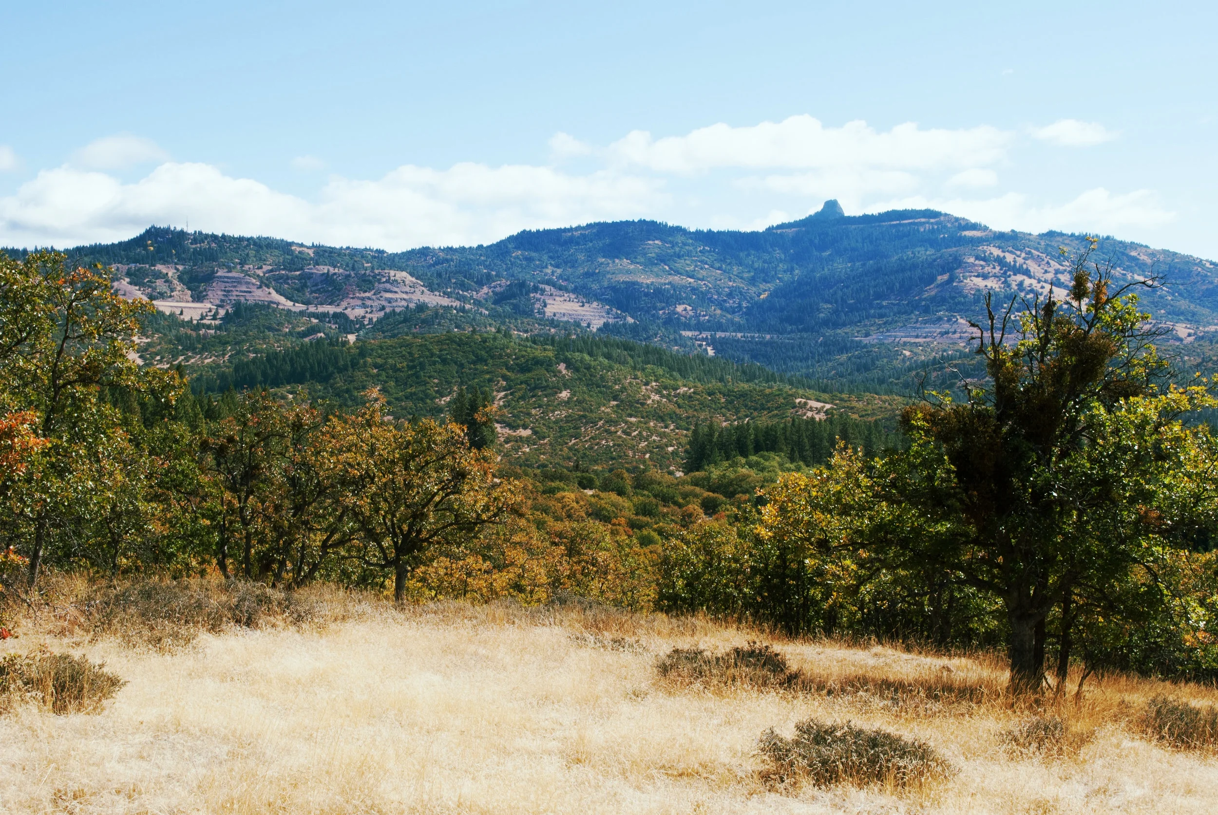Southern Oregon Land Conservancy