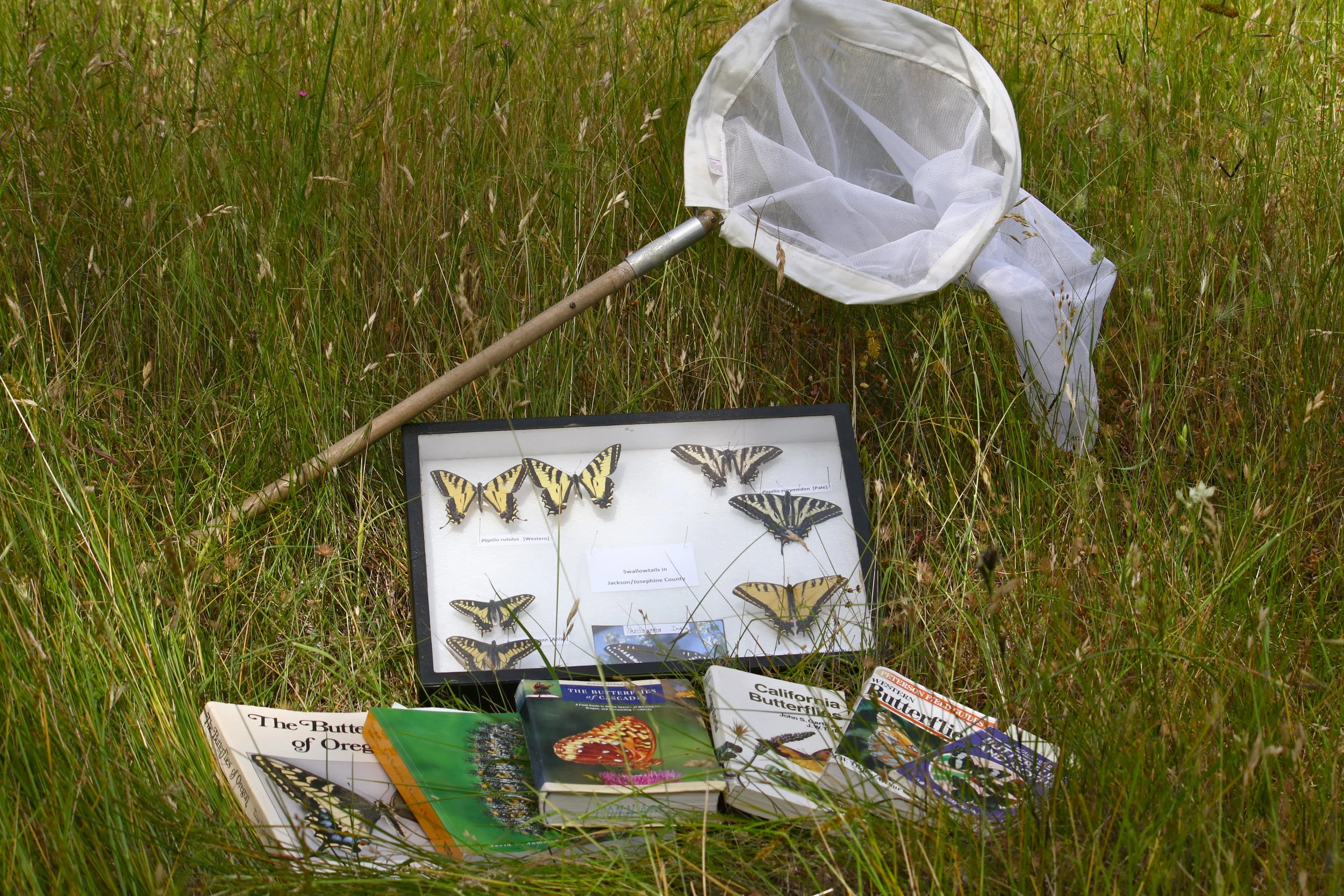 Butterflies at Cascade-Siskiyou National Monument