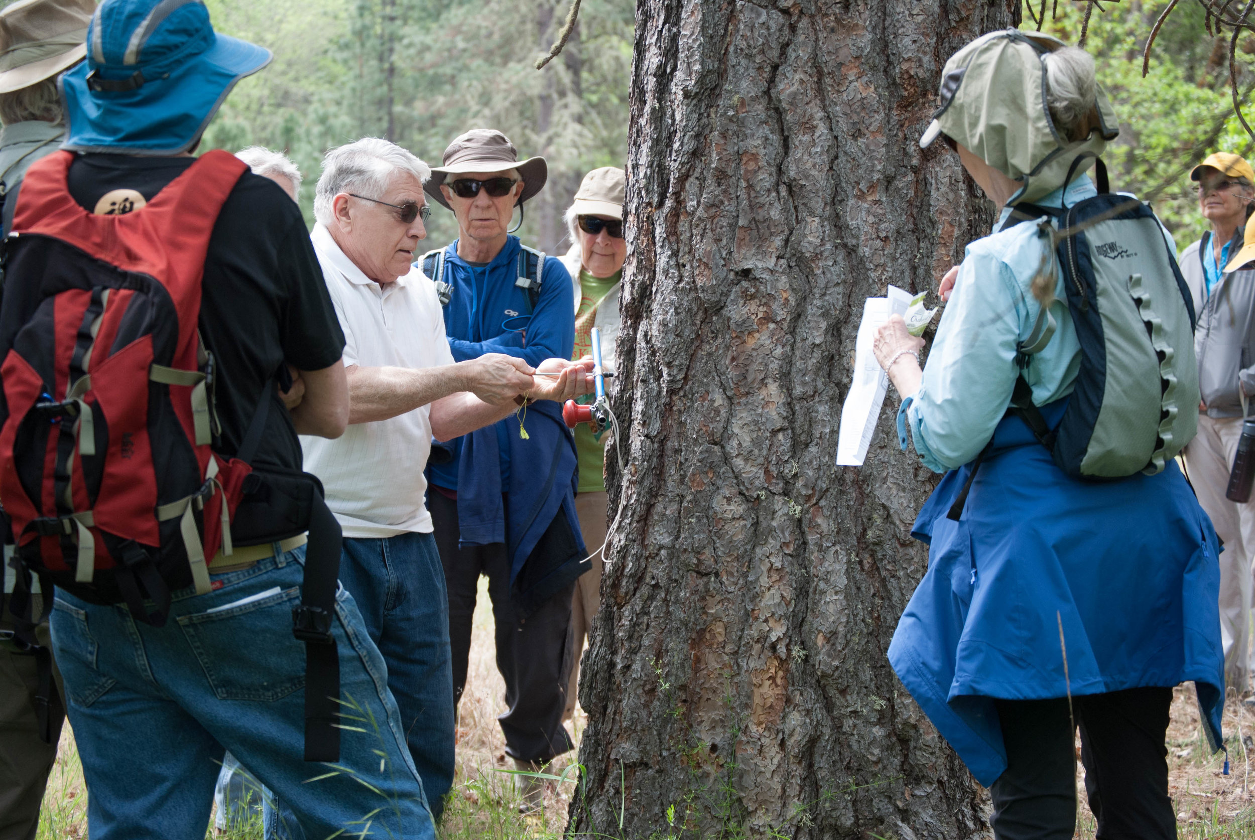 Fish, Forest and Landforms at Rogue River Preserve