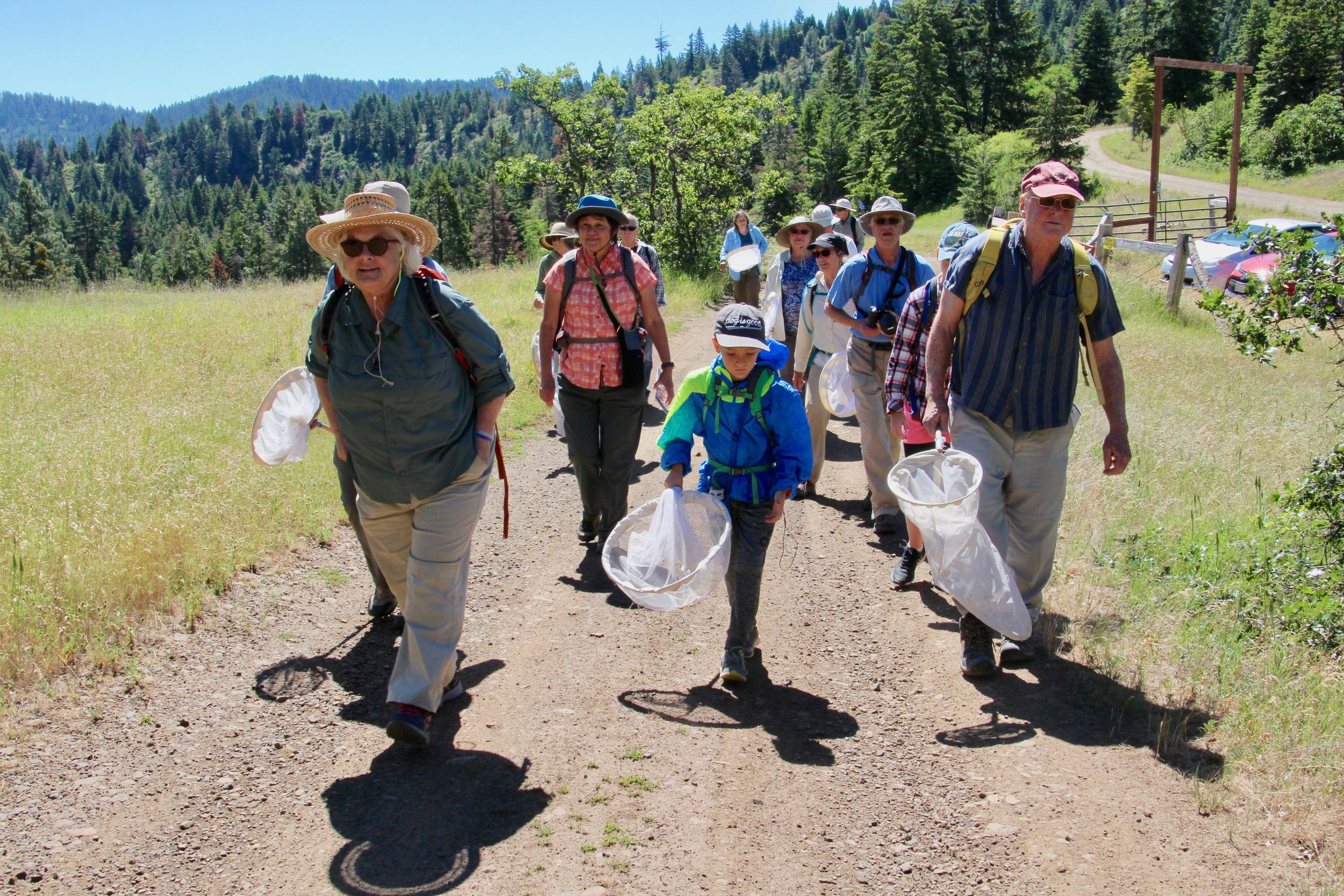 Butterflies at Cascade-Siskiyou National Monument