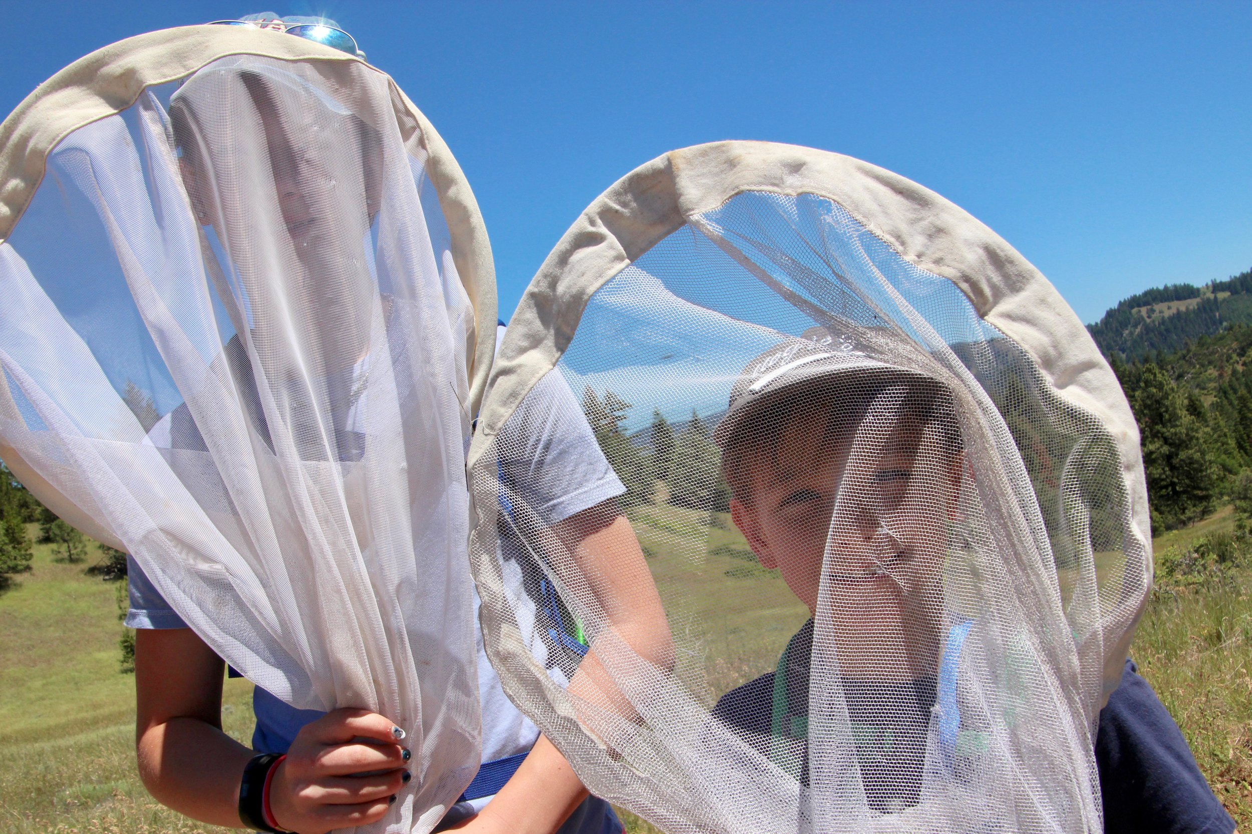 Butterflies at Cascade-Siskiyou National Monument