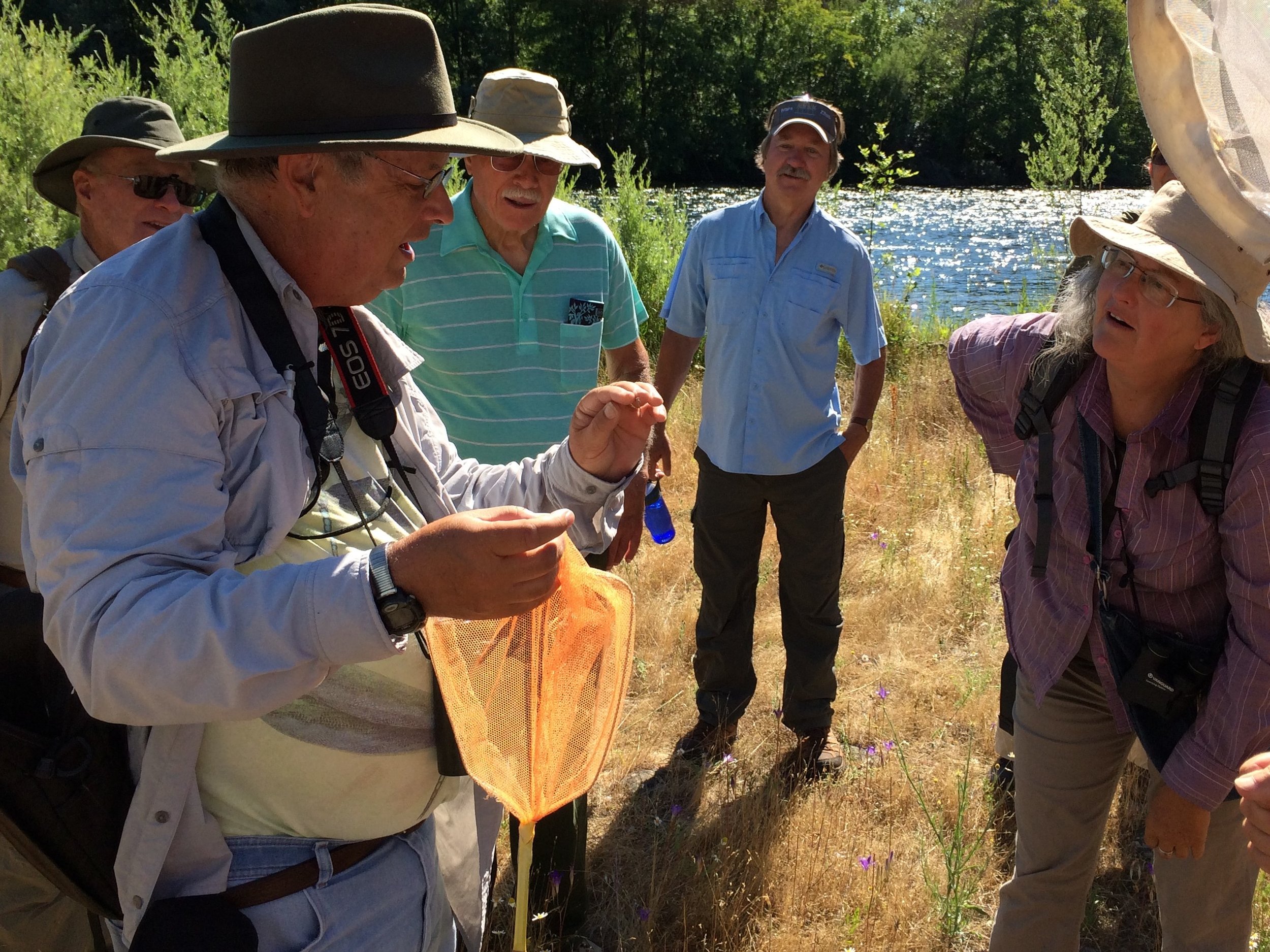 Dragonfly Exploration at Rogue River Preserve