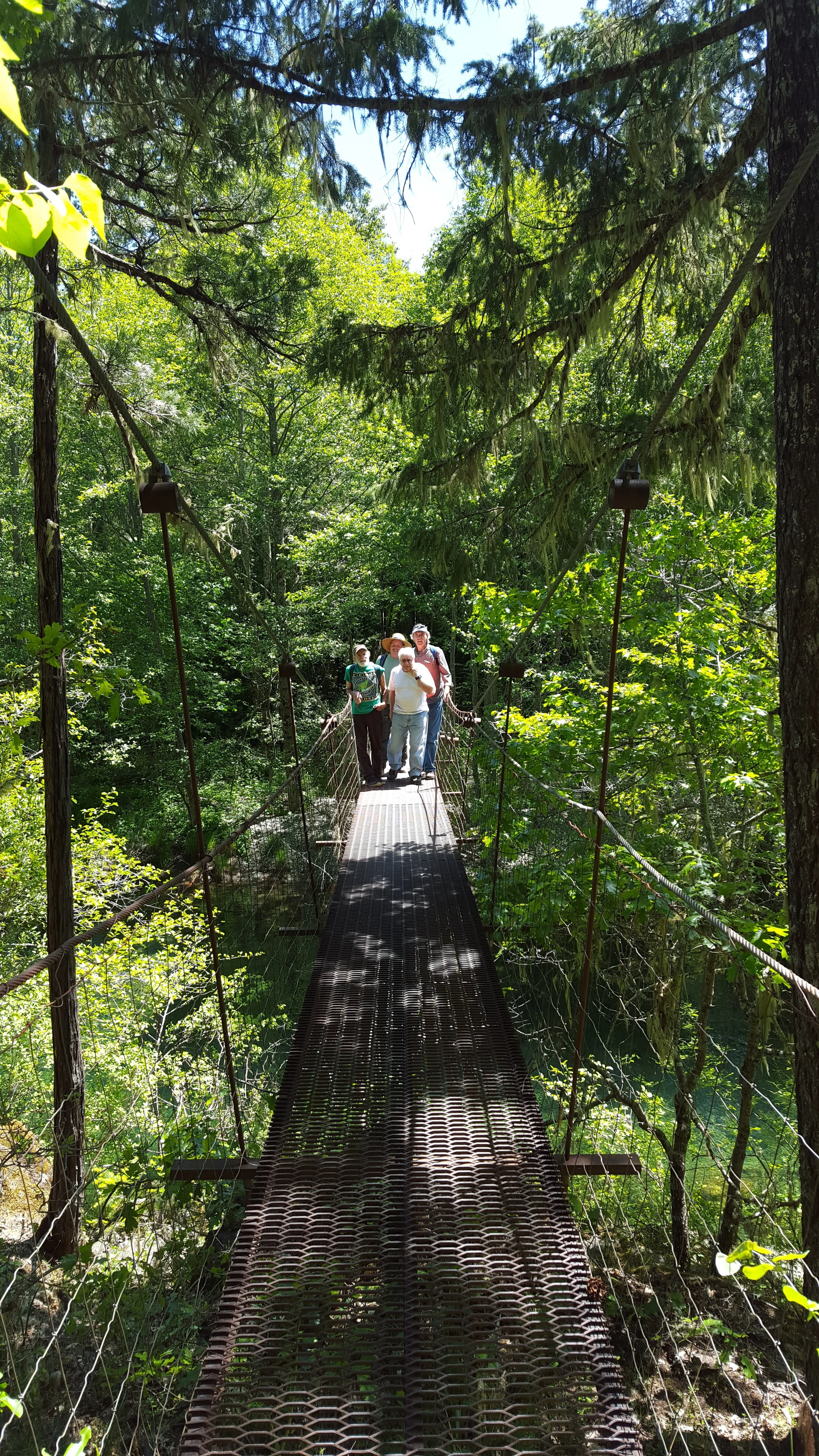 Meadows community suspension bridge with staff and volunteer lands committee members during an annual monitoring visit.