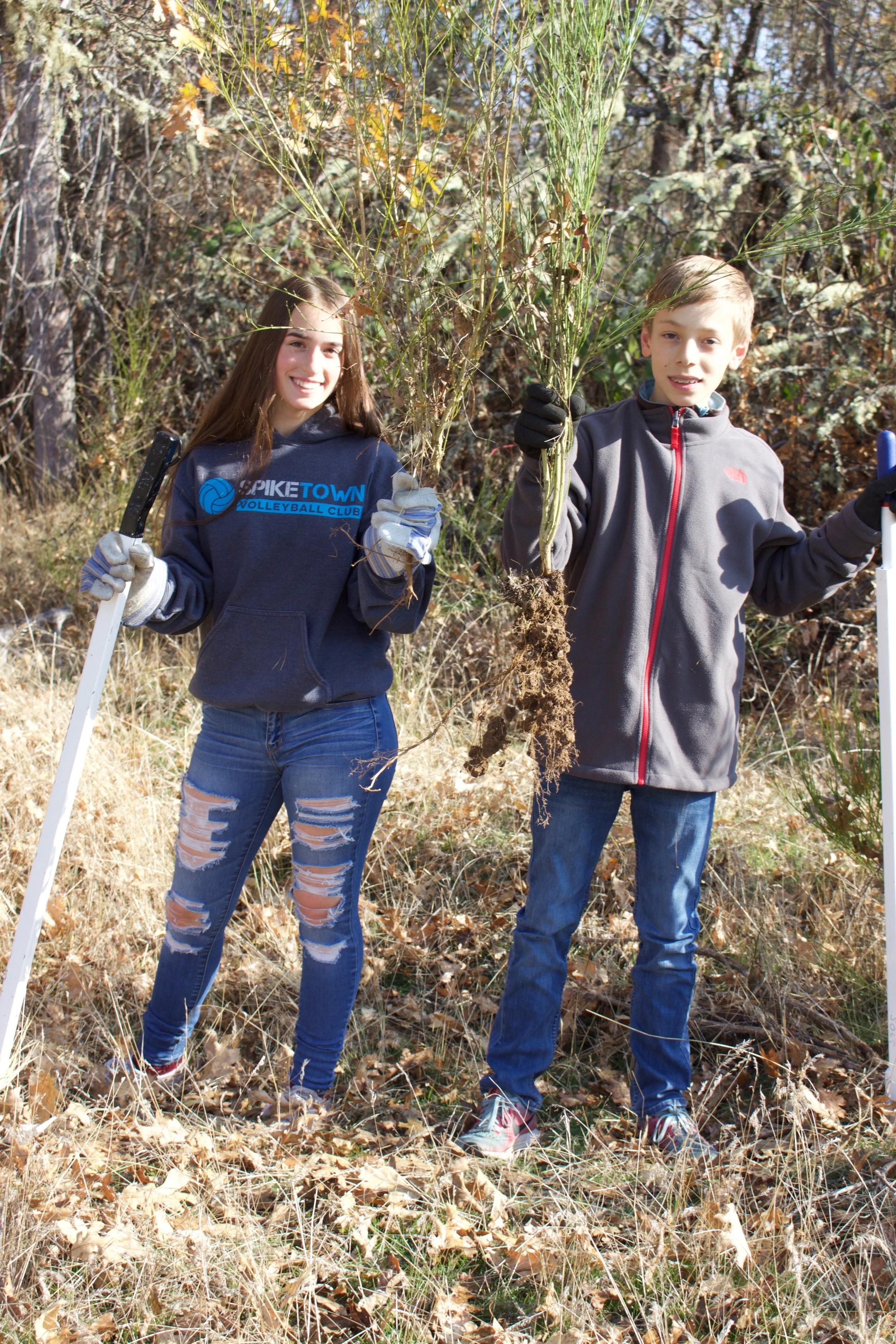 Volunteers doing the good work removing invasive Scotch broom.