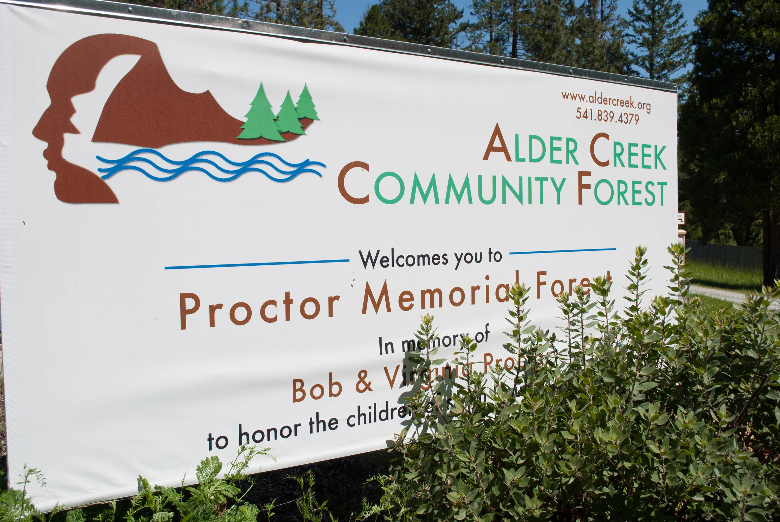 Alder Creek Comm Forest