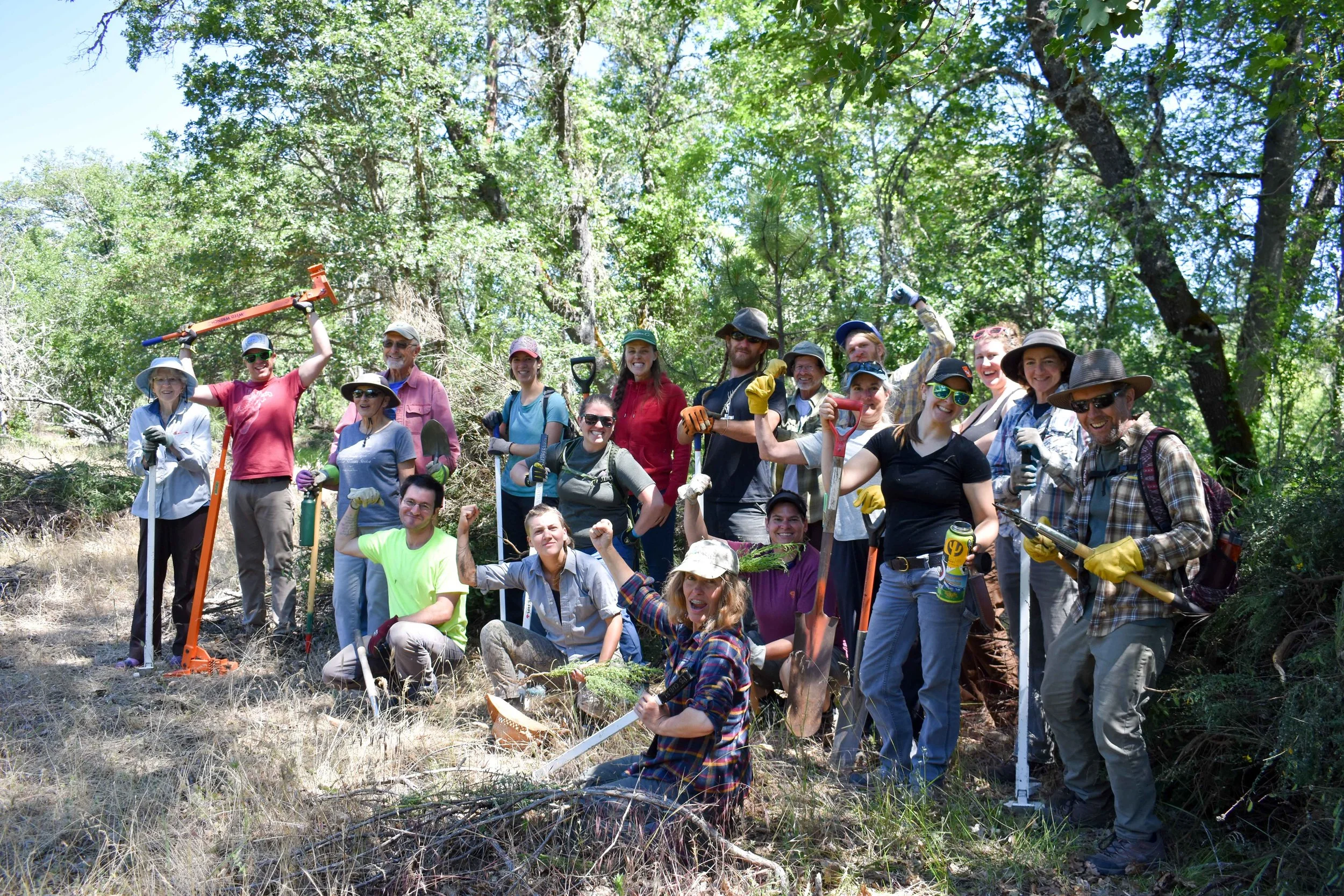 Photos: Let's Pull Together stewardship day