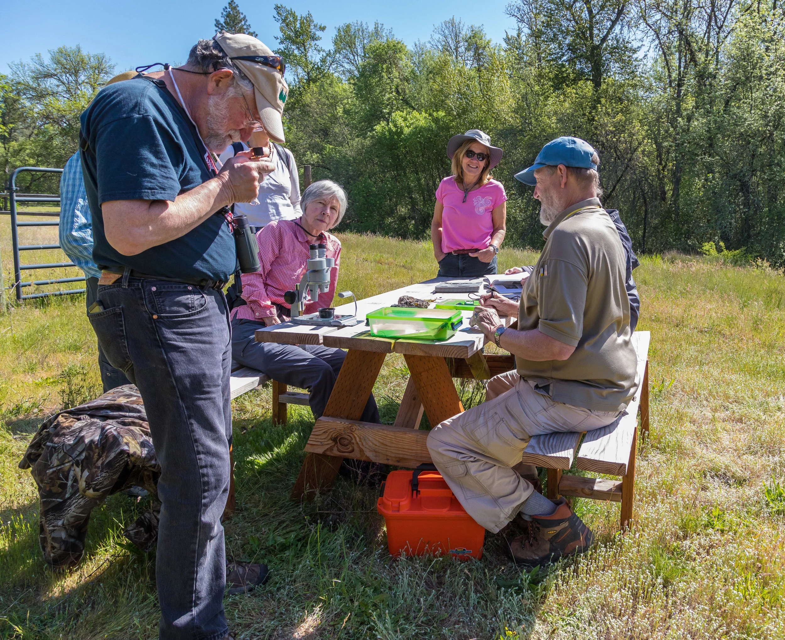 Lichens for Beginners at Rogue River Preserve
