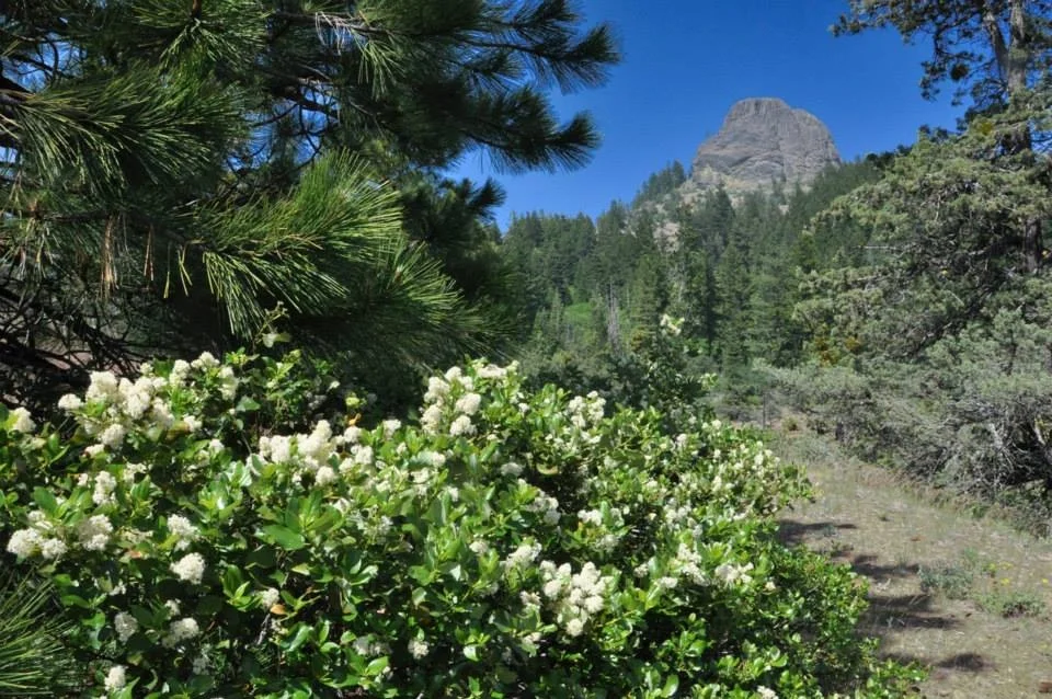 Monument Public Lands Day 2019