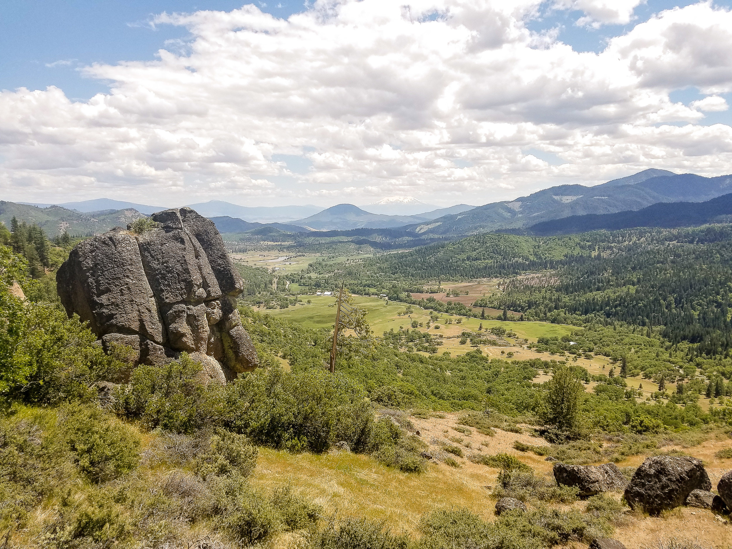 WE DID IT: 223 Acres Conserved