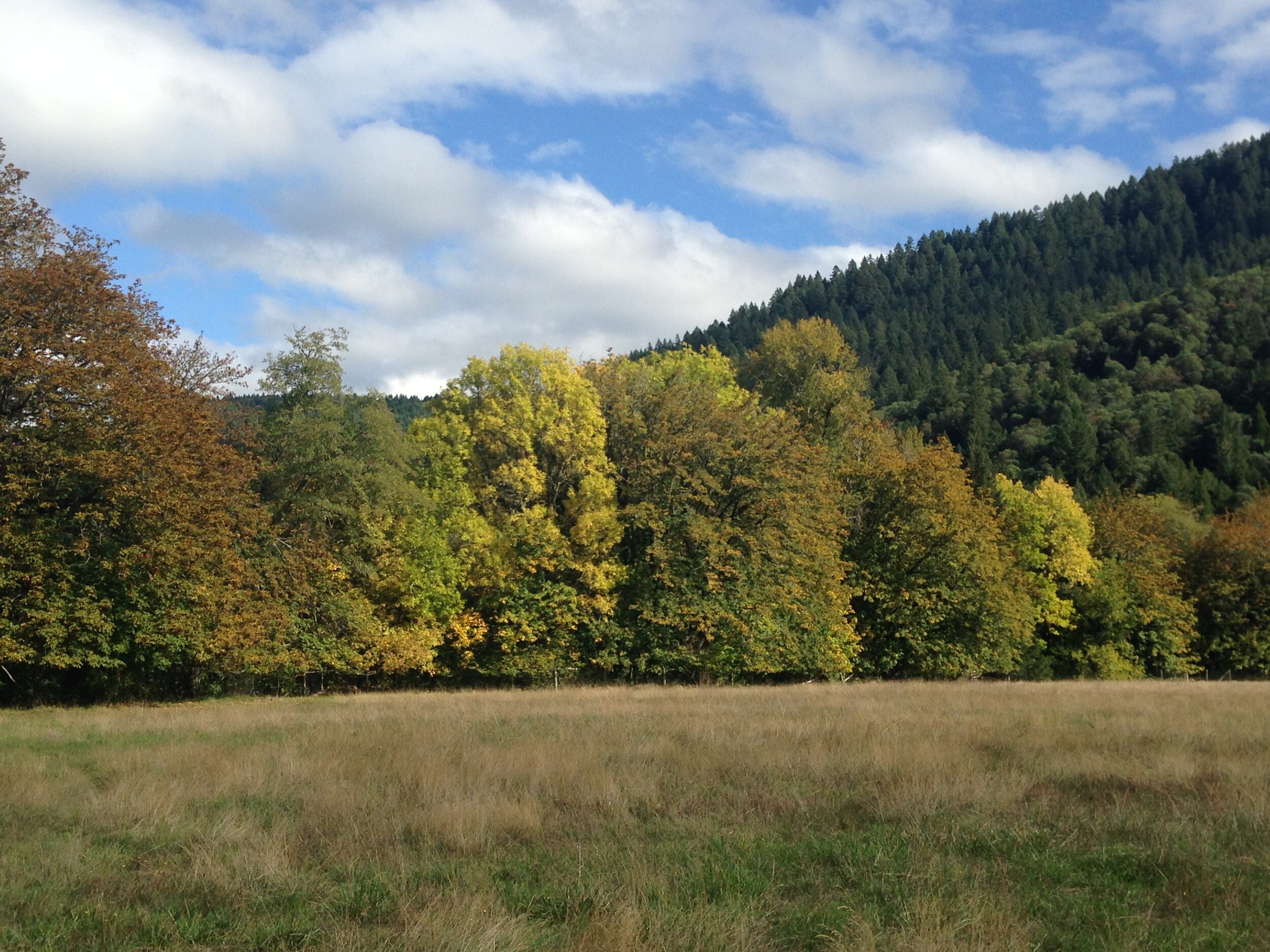 809 Acres in Wolf Creek Donated to SOLC