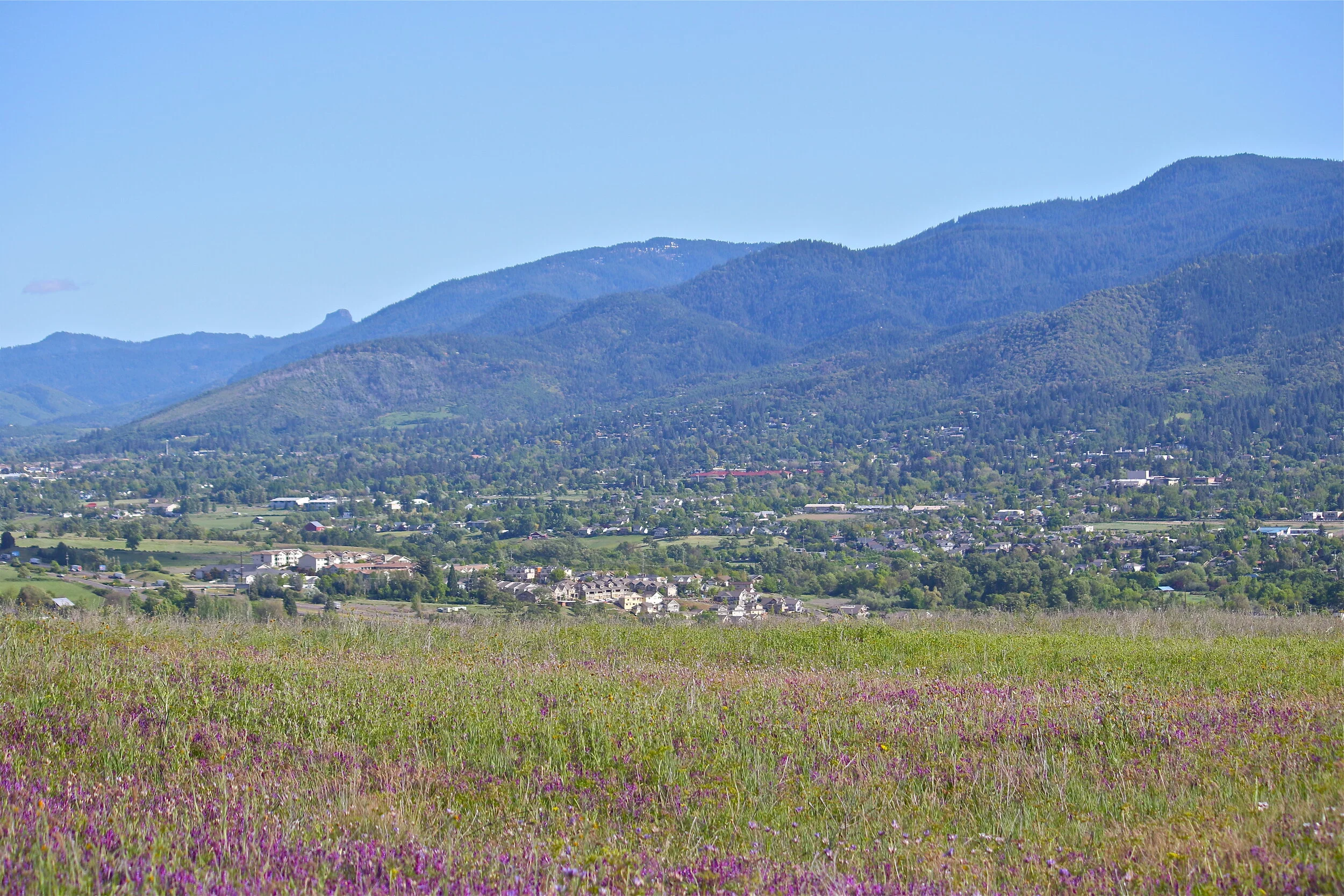 Upper Bear Creek Watershed Project