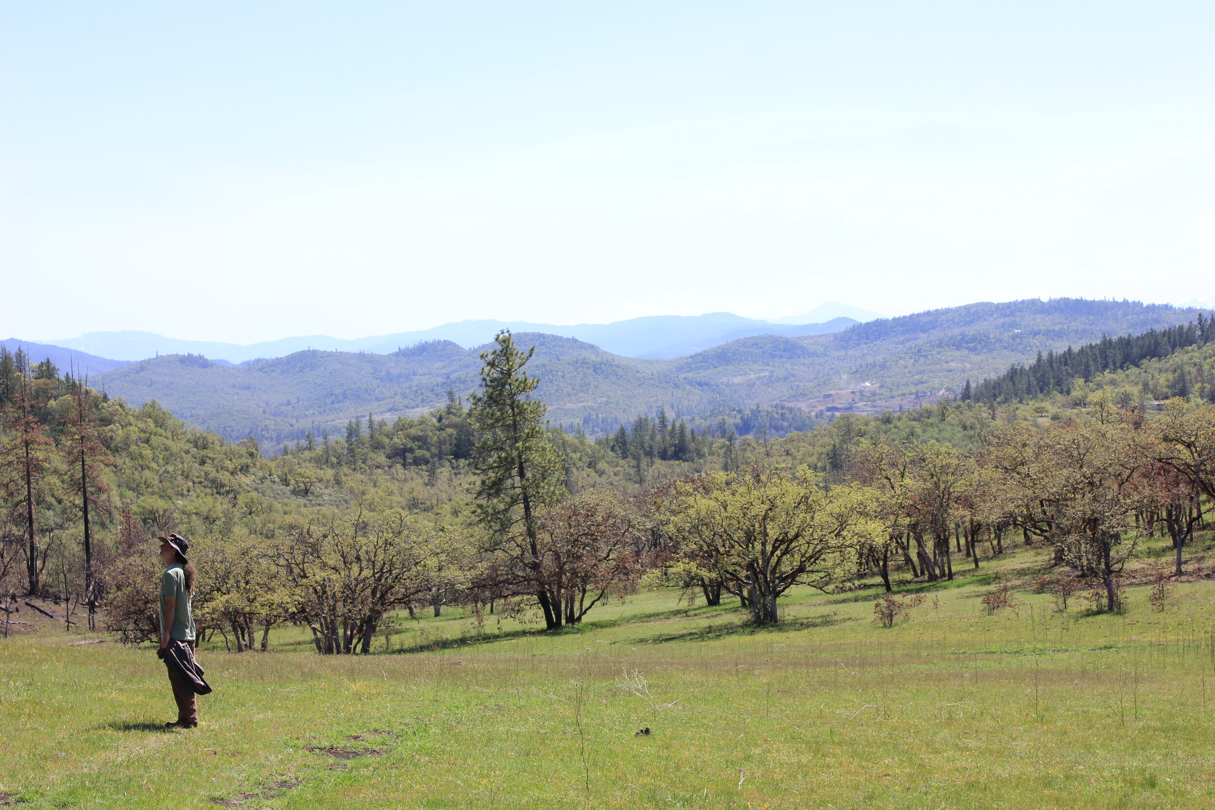We did it! Property Conserved along Kanutchan Creek